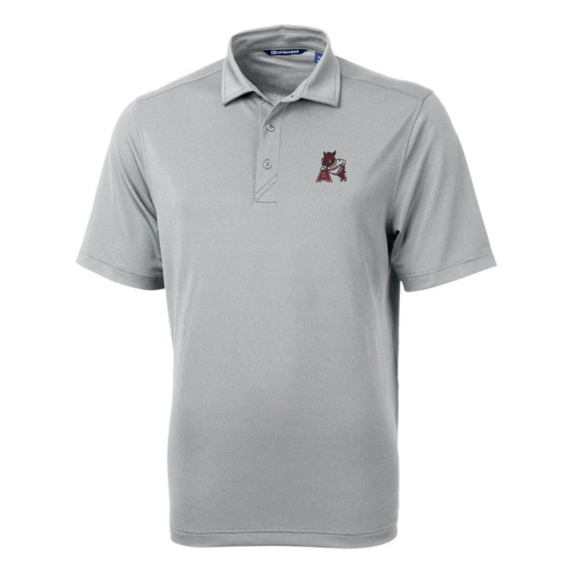 NCAA Arkansas Razorbacks Team Logo Virtue Eco Pique Recycled Polo