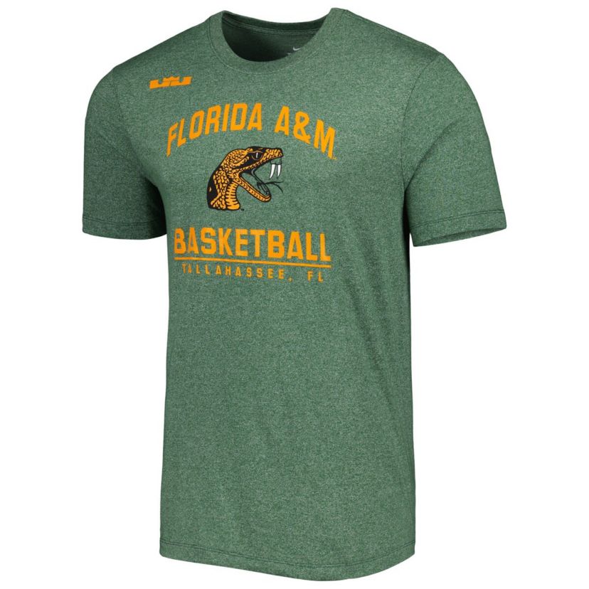 NCAA Florida A&M Rattlers Marled T-Shirt