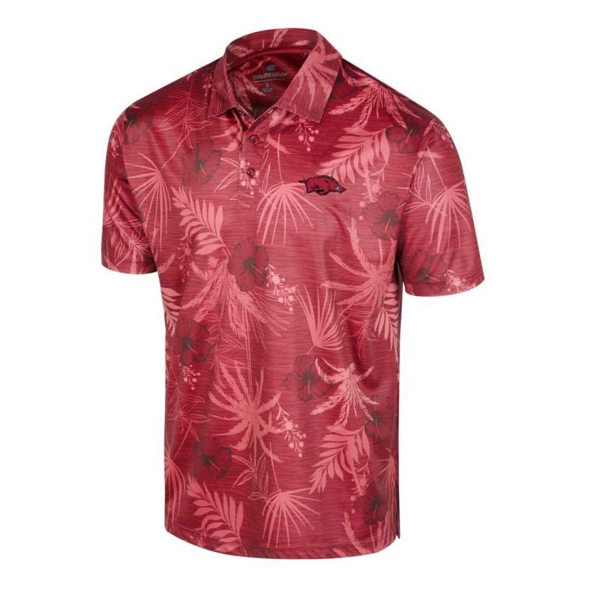 NCAA Arkansas Razorbacks Palms Team Polo