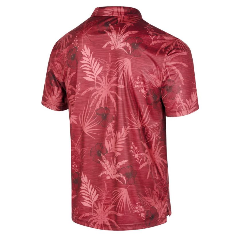 NCAA Arkansas Razorbacks Palms Team Polo