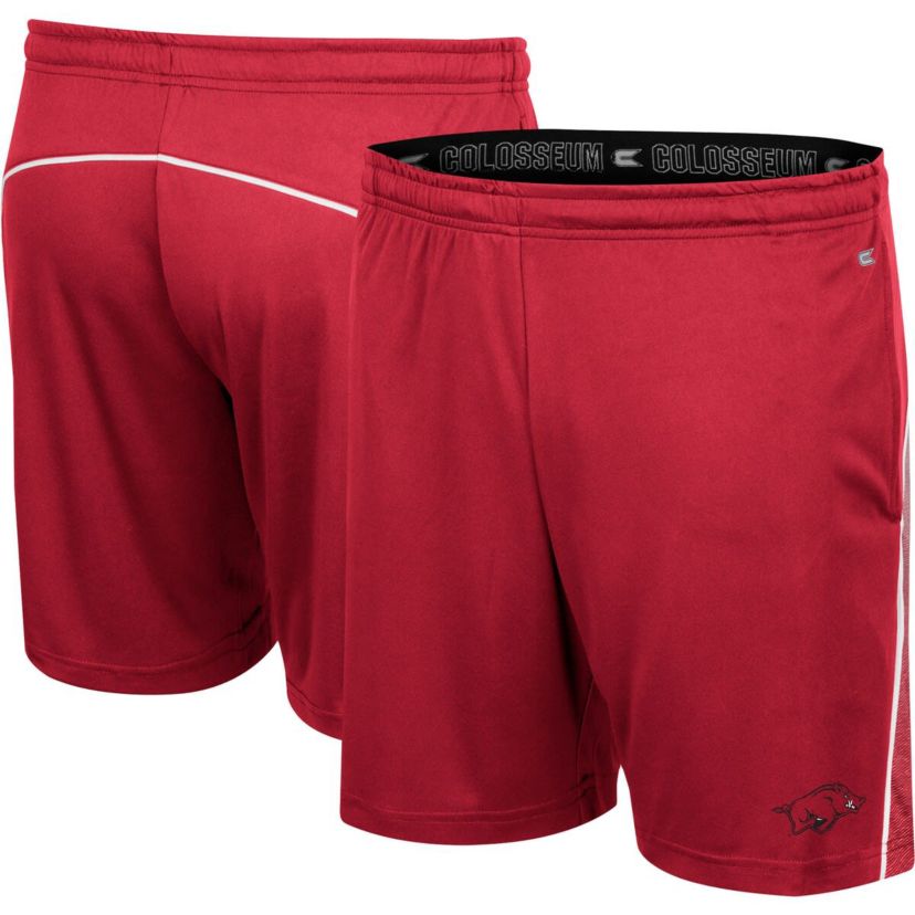 NCAA Arkansas Razorbacks Laws of Physics Shorts