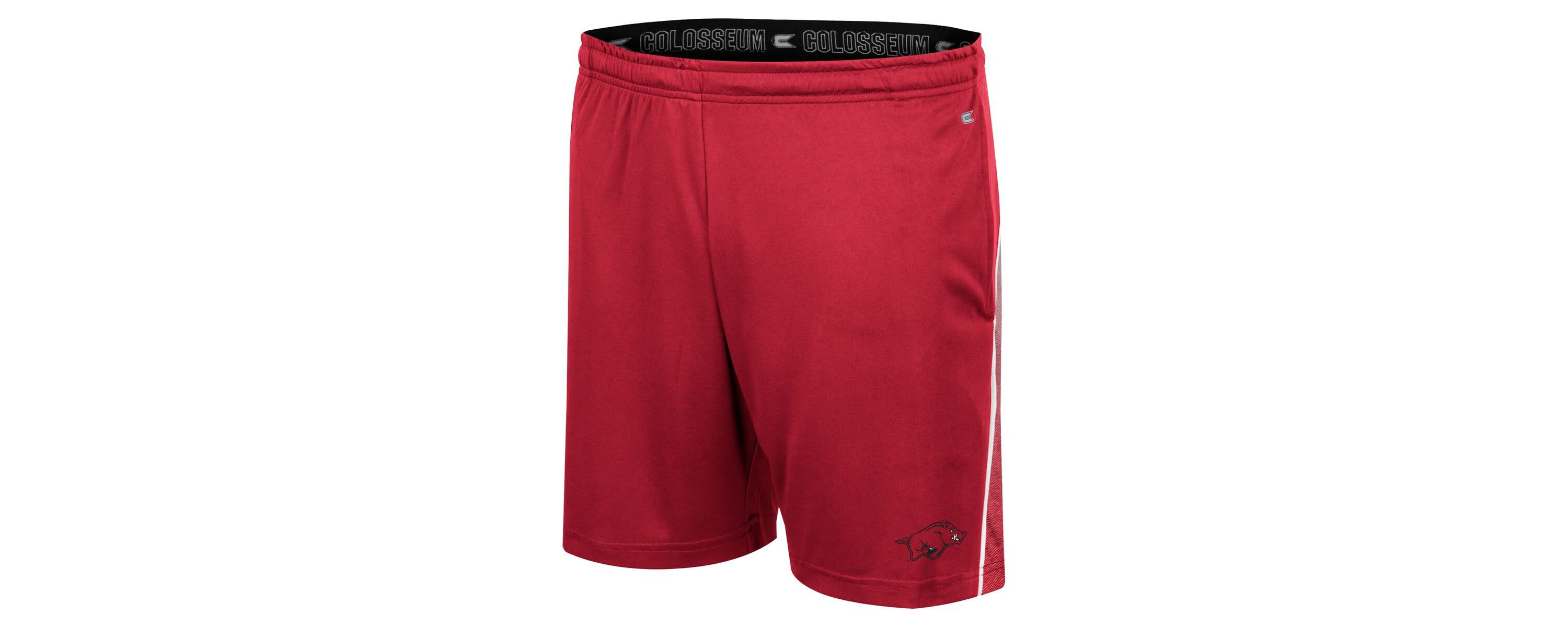 NCAA Arkansas Razorbacks Laws of Physics Shorts