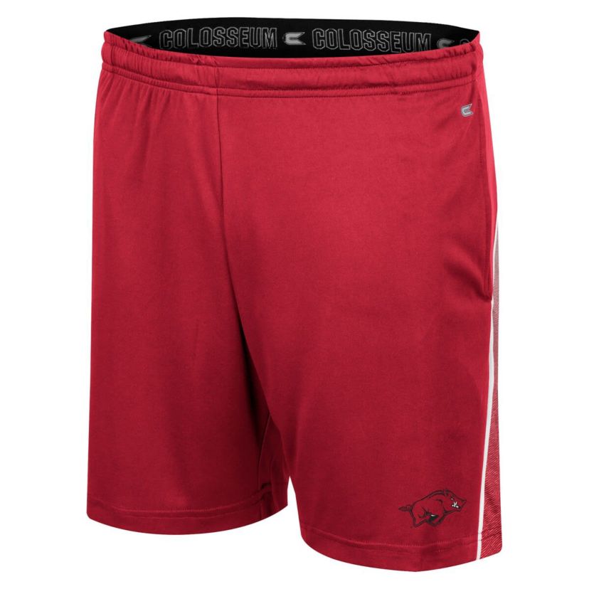 NCAA Arkansas Razorbacks Laws of Physics Shorts