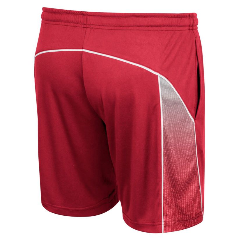 NCAA Arkansas Razorbacks Laws of Physics Shorts