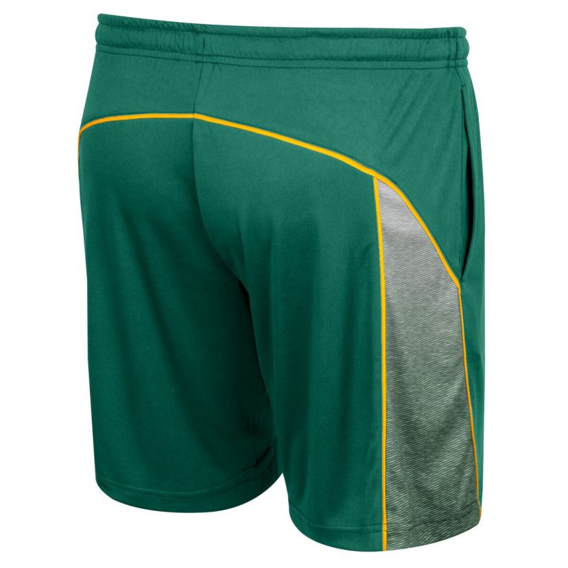 NCAA Baylor Bears Laws of Physics Shorts