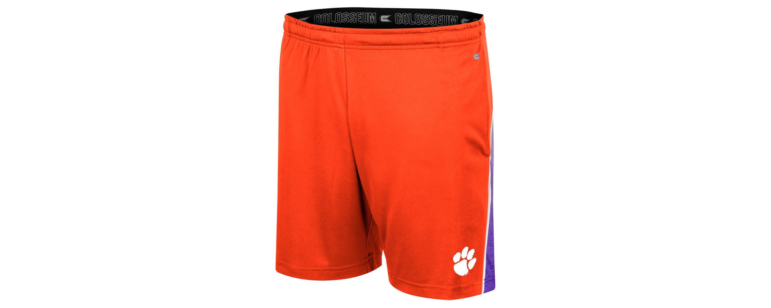 NCAA Clemson Tigers Laws of Physics Shorts