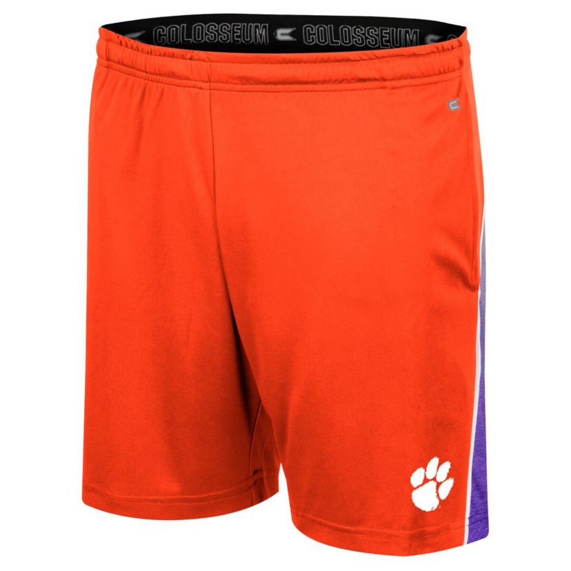 NCAA Clemson Tigers Laws of Physics Shorts