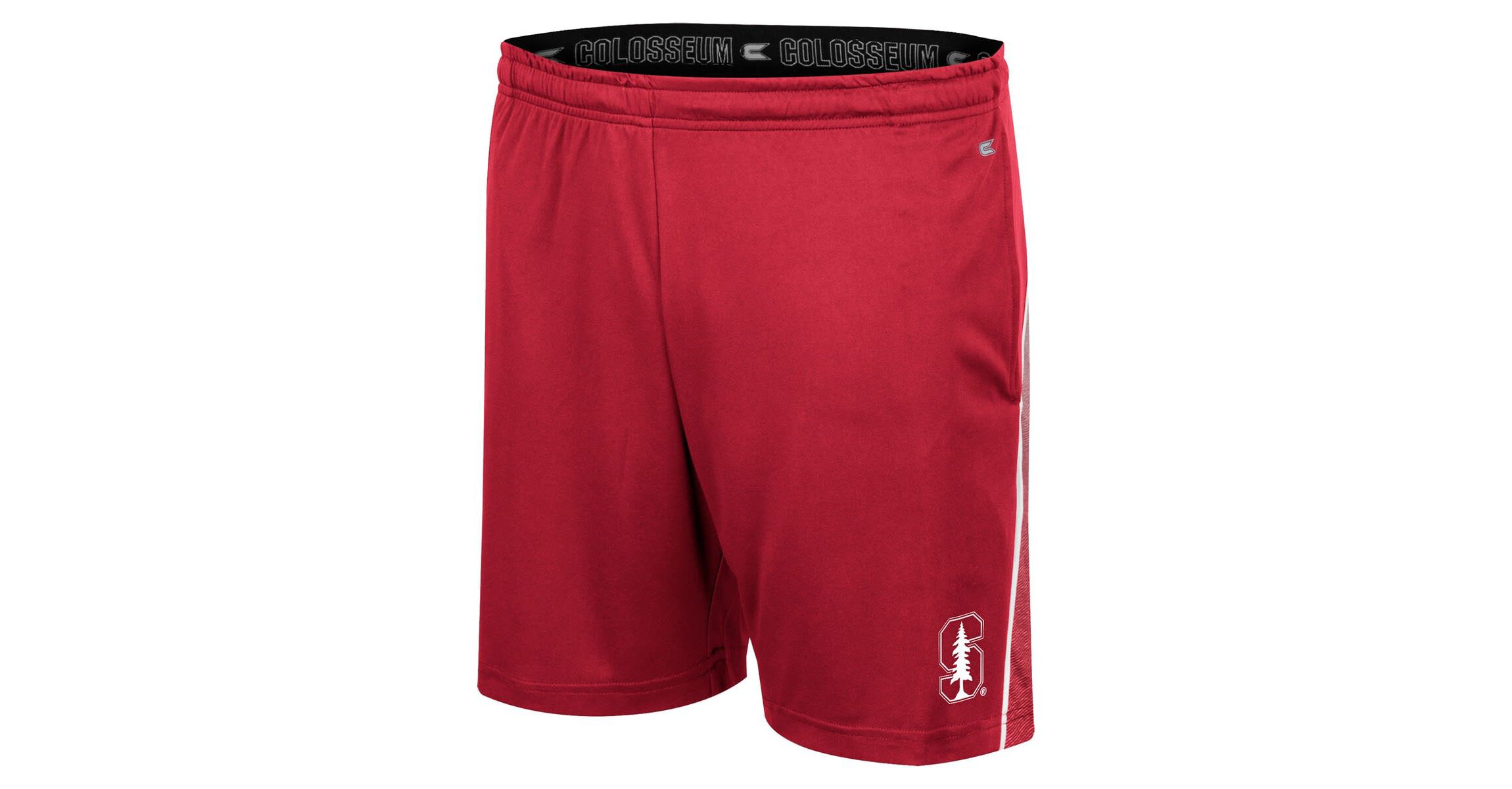 Stanford Cardinal NCAA Stanford Laws of Physics Shorts