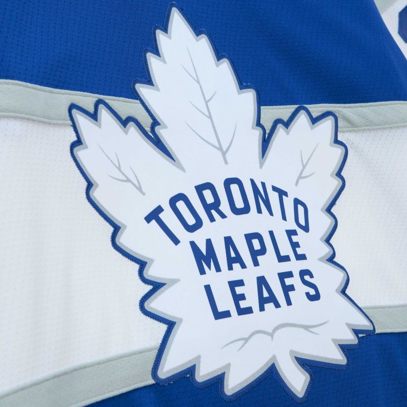 NHL Auston Matthews Toronto Maple Leafs 2017 Winter Classic Line Player Jersey