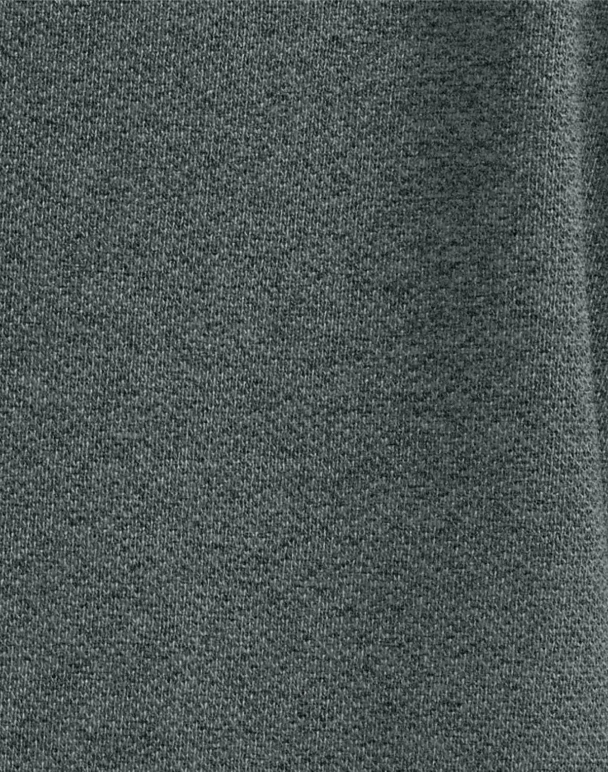 Hanes Mens Pique Polo Shirt (Big & Tall Sizes Available)