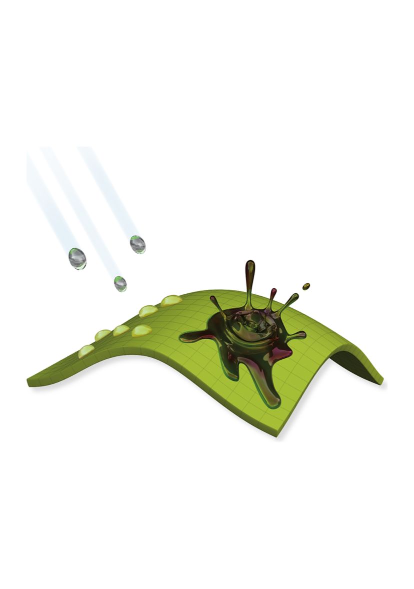 Pacific Ridge Cargo Pants