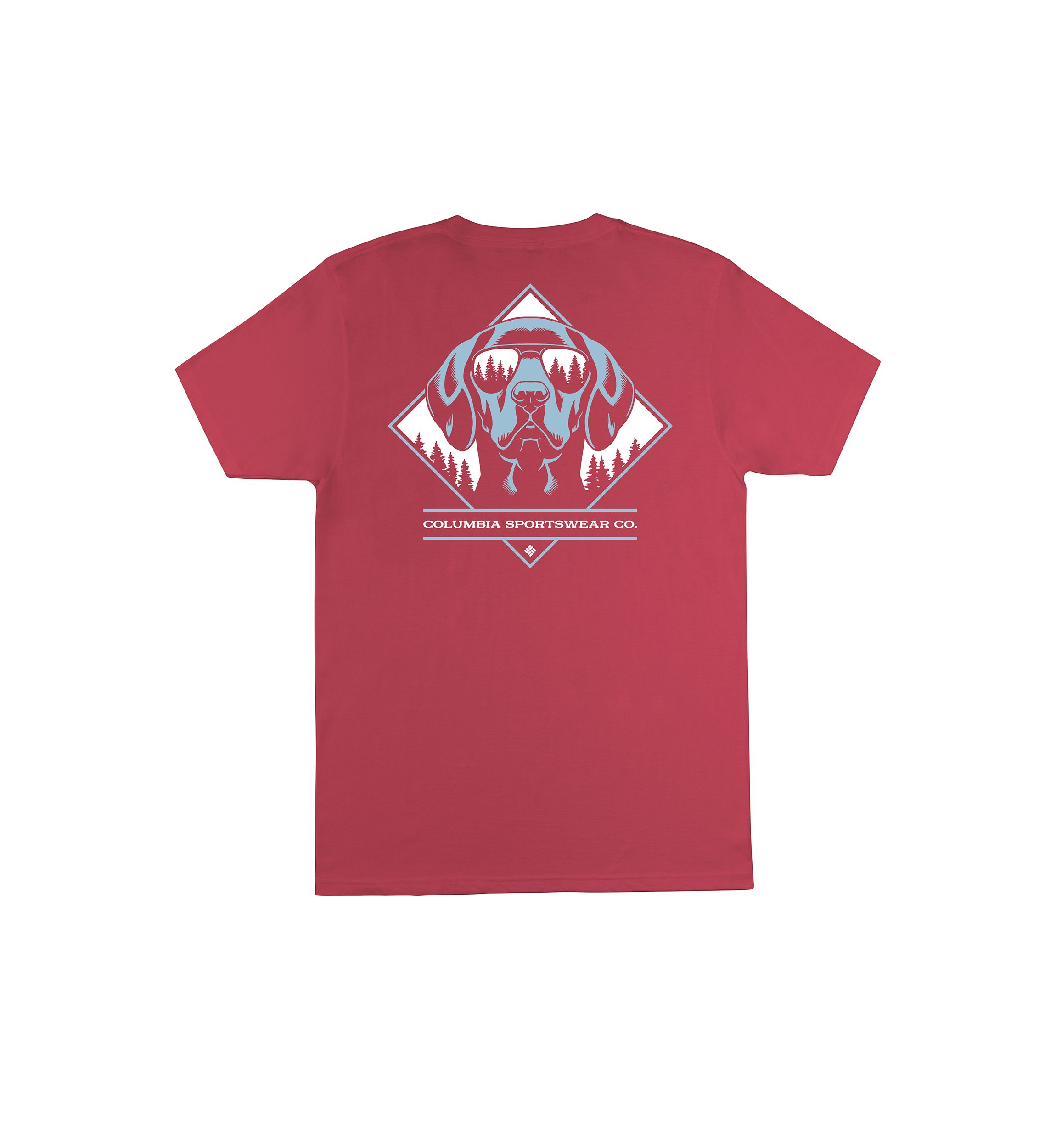 Big & Tall Short Sleeve Aviator Dog Graphic T-Shirt