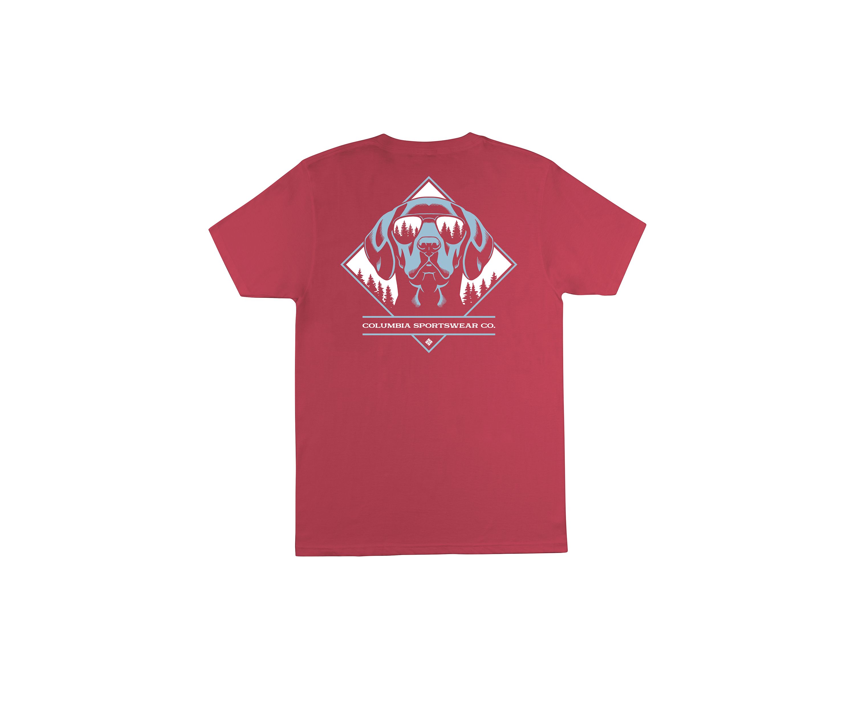 Big & Tall Short Sleeve Aviator Dog Graphic T-Shirt