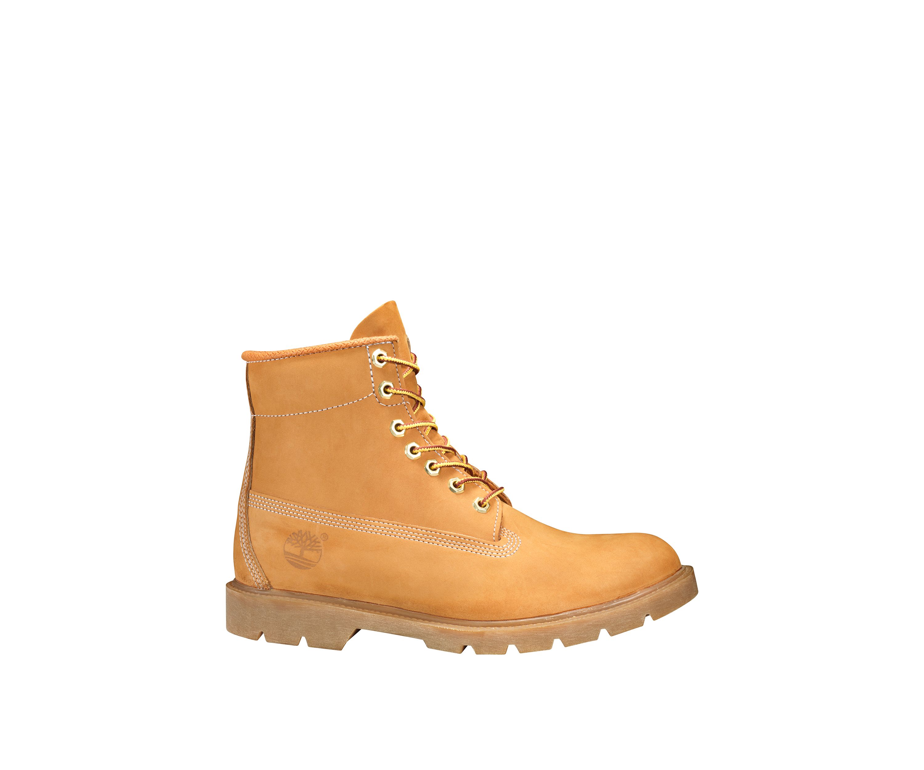 6 Basic Boot