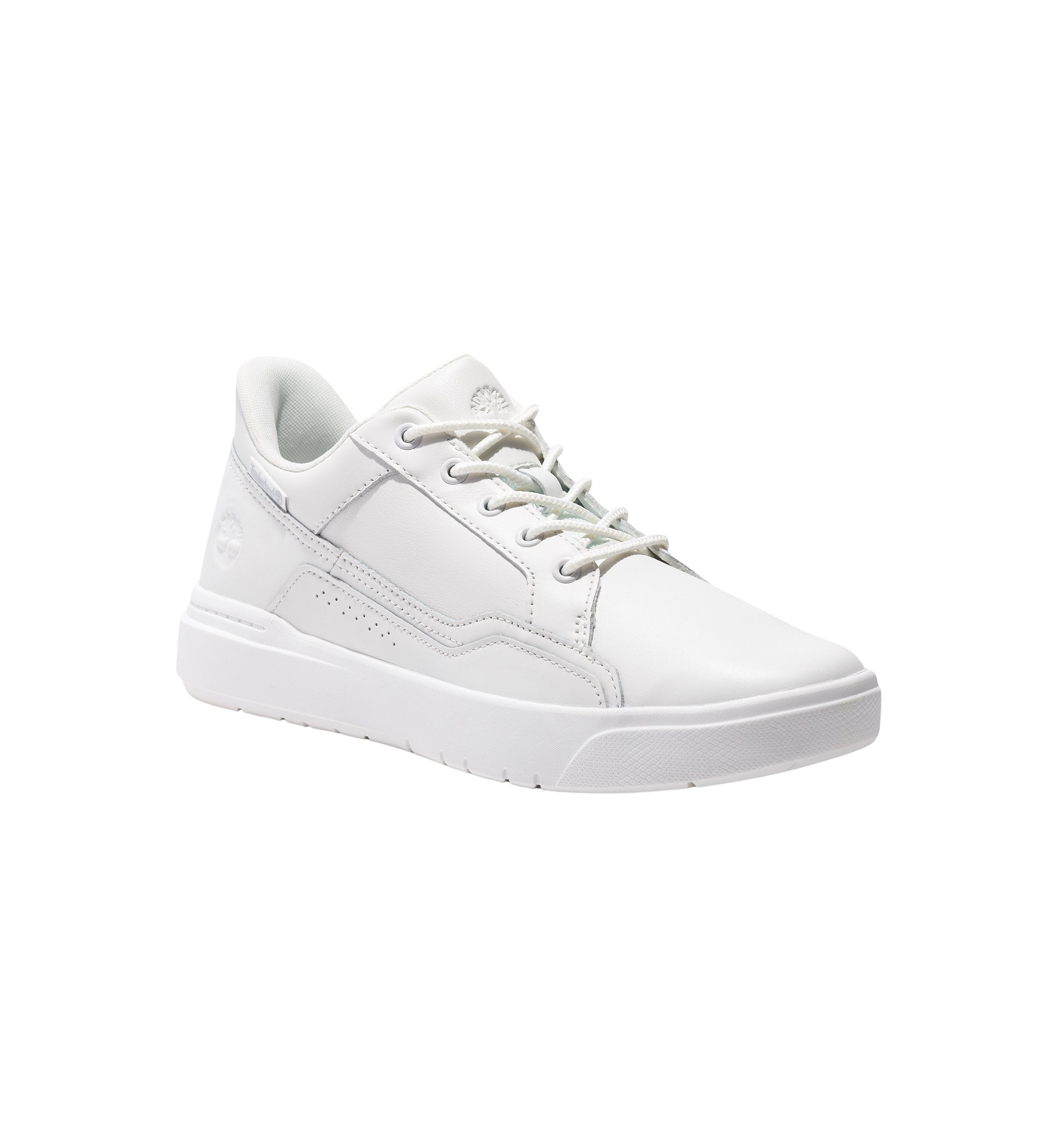 Low Lace Up Sneakers