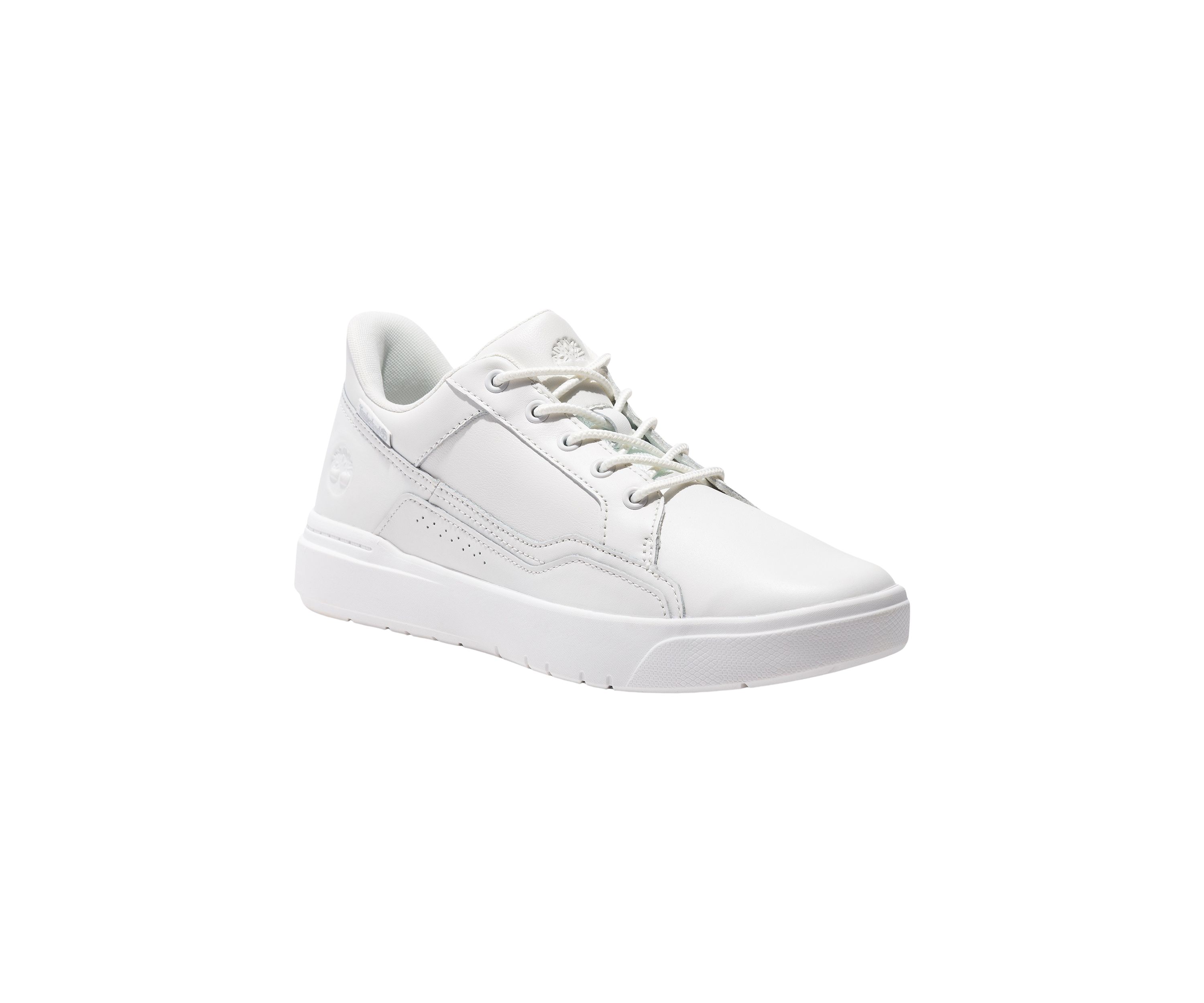 Low Lace Up Sneakers
