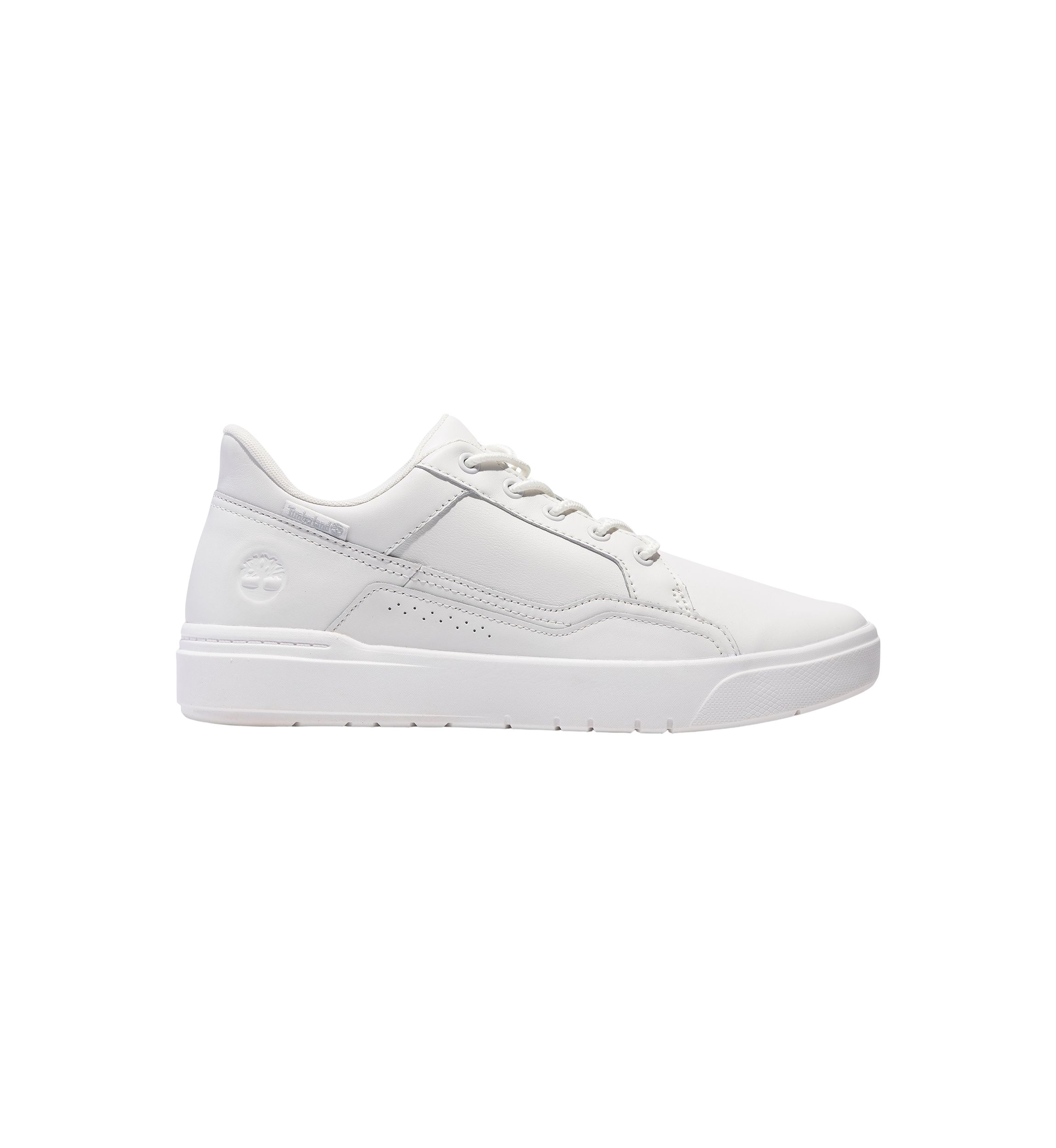 Low Lace Up Sneakers