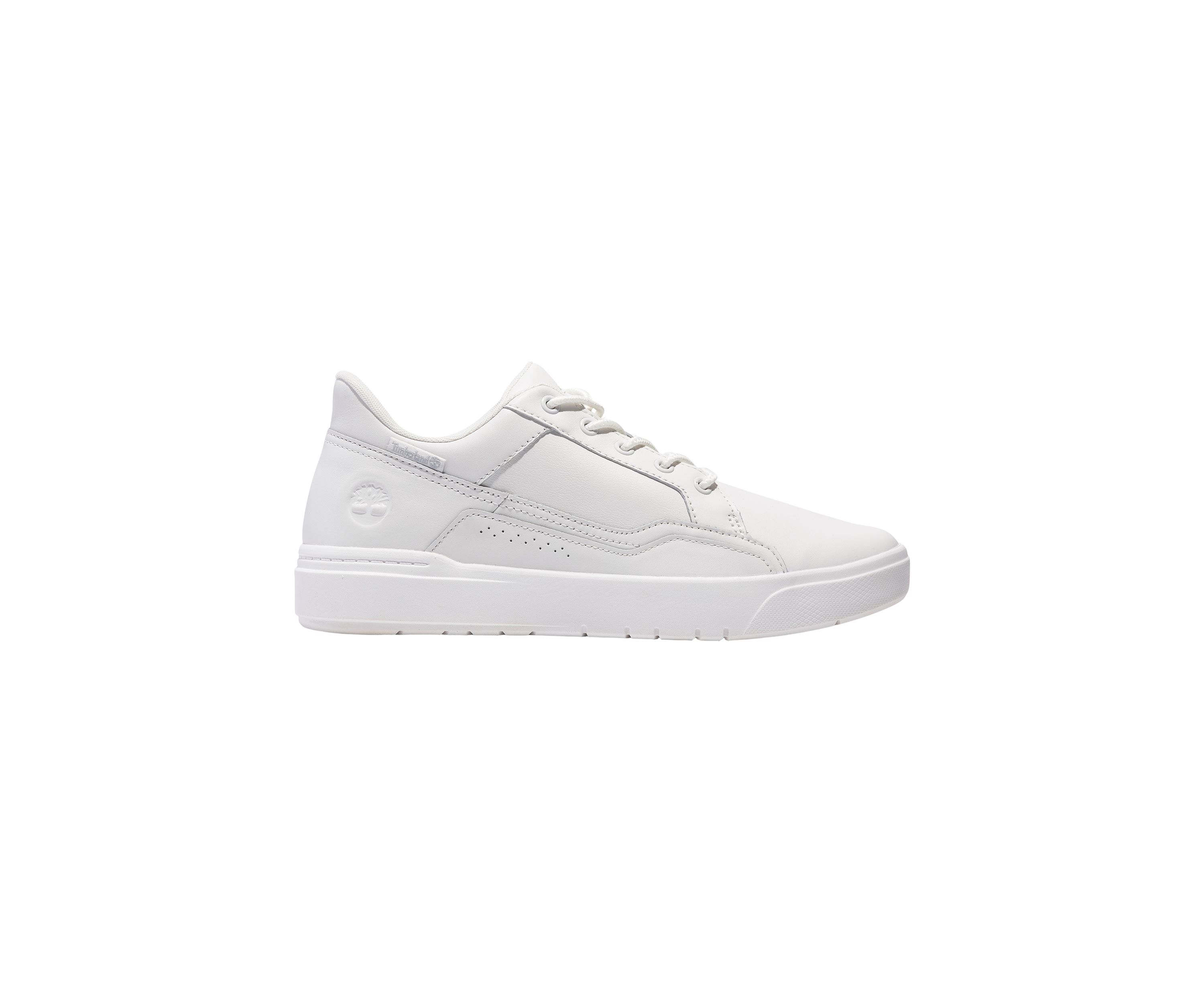Low Lace Up Sneakers