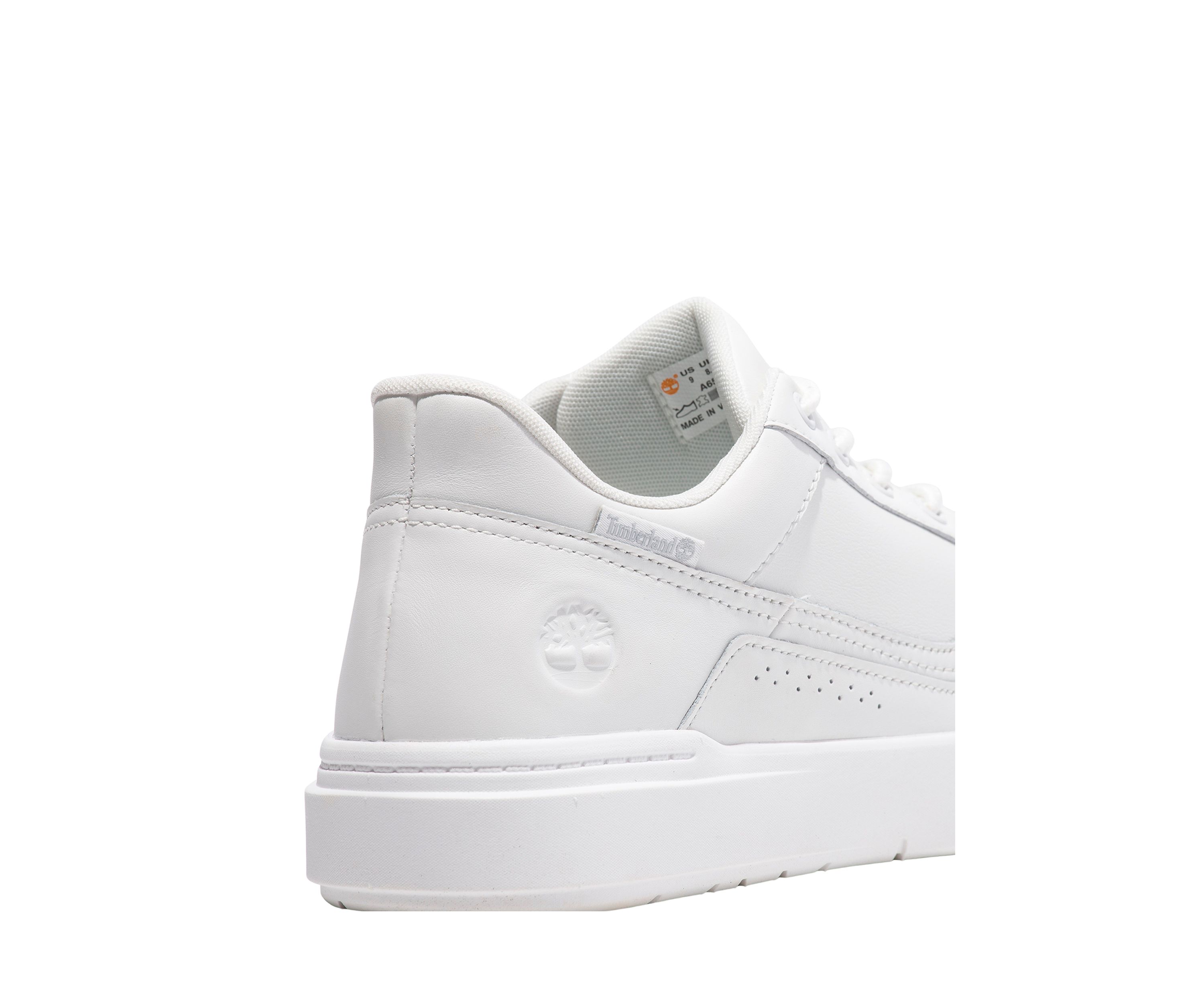 Low Lace Up Sneakers