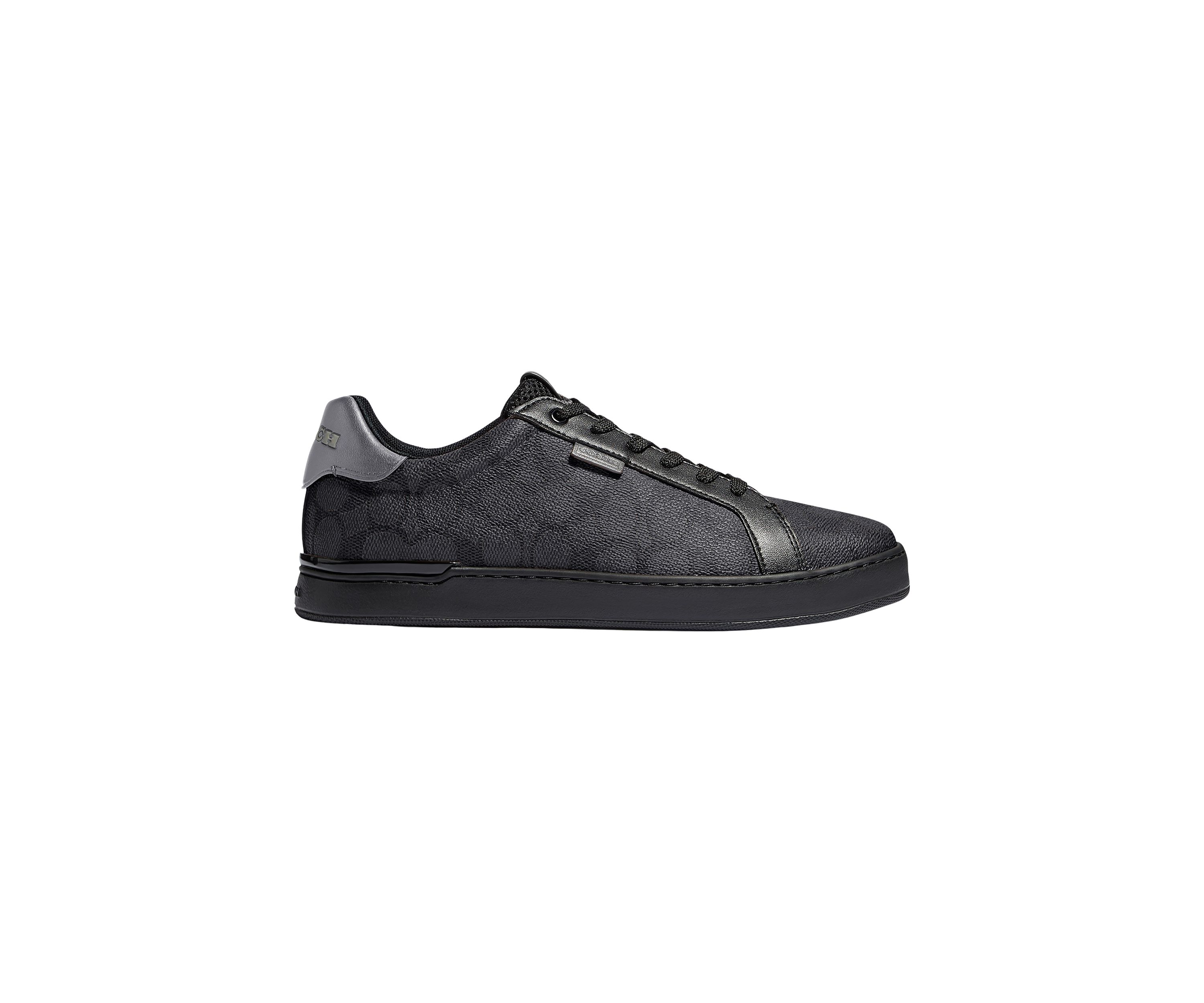   Lowline Low Top Sneaker 