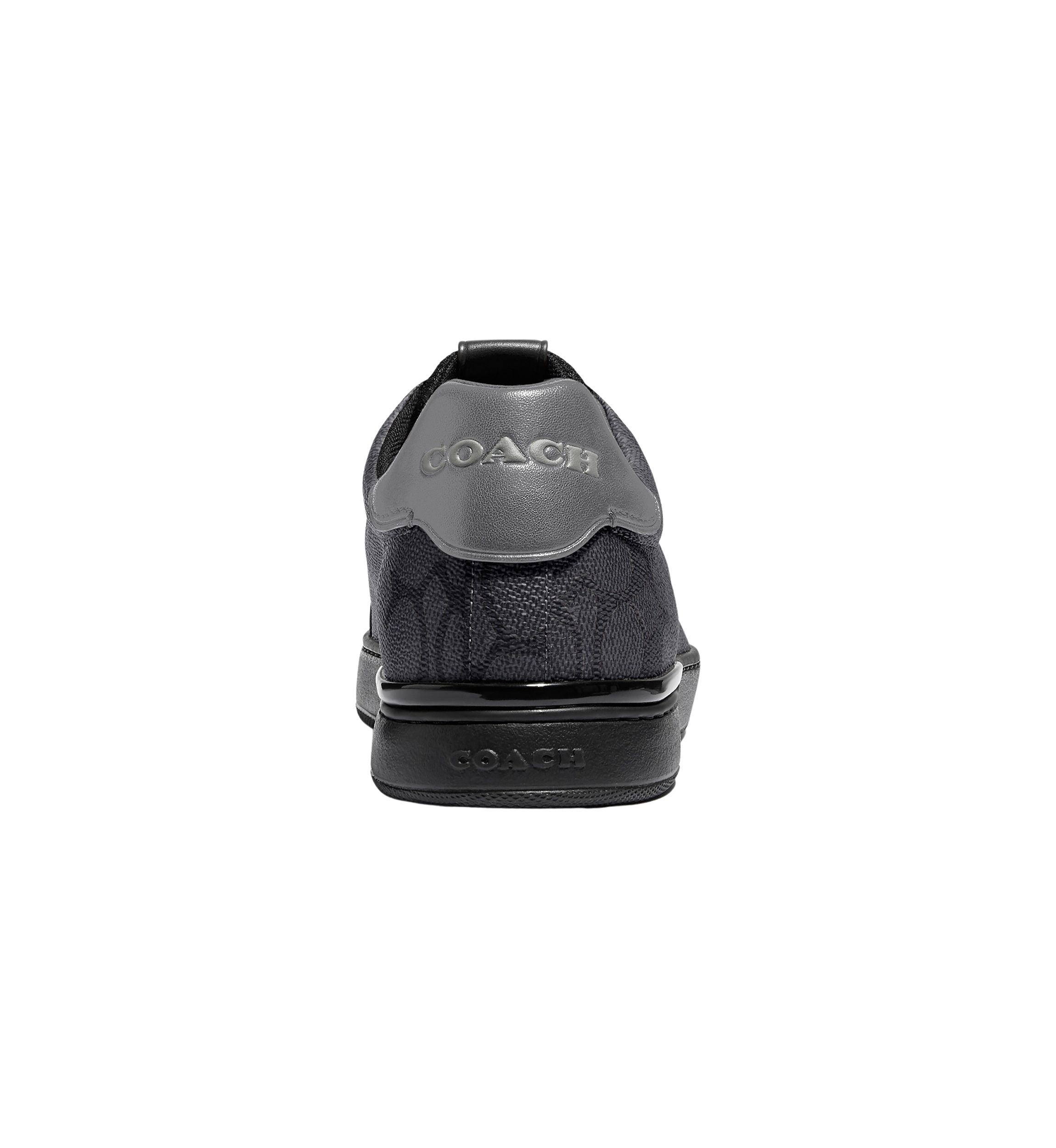   Lowline Low Top Sneaker 