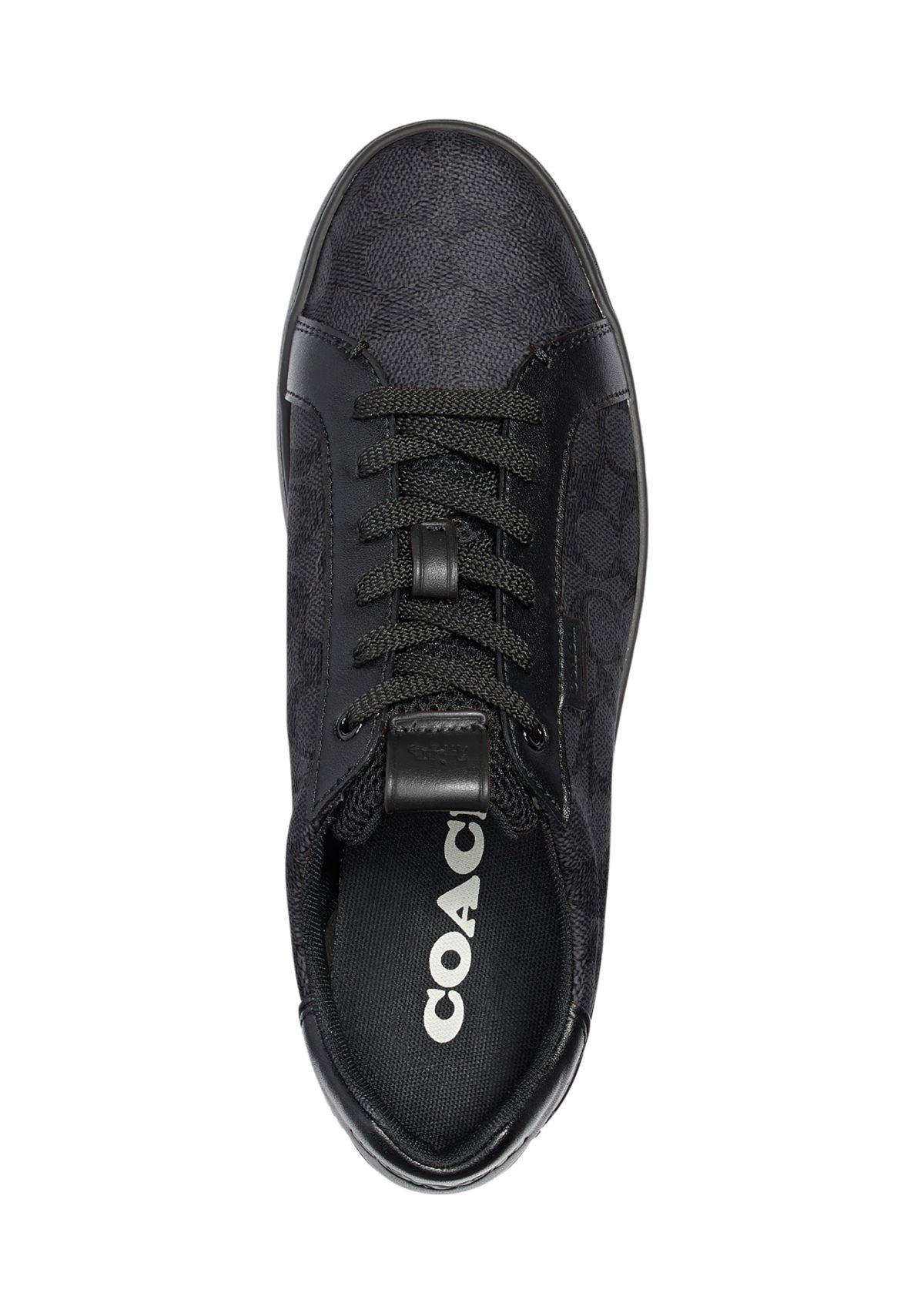   Lowline Low Top Sneaker 