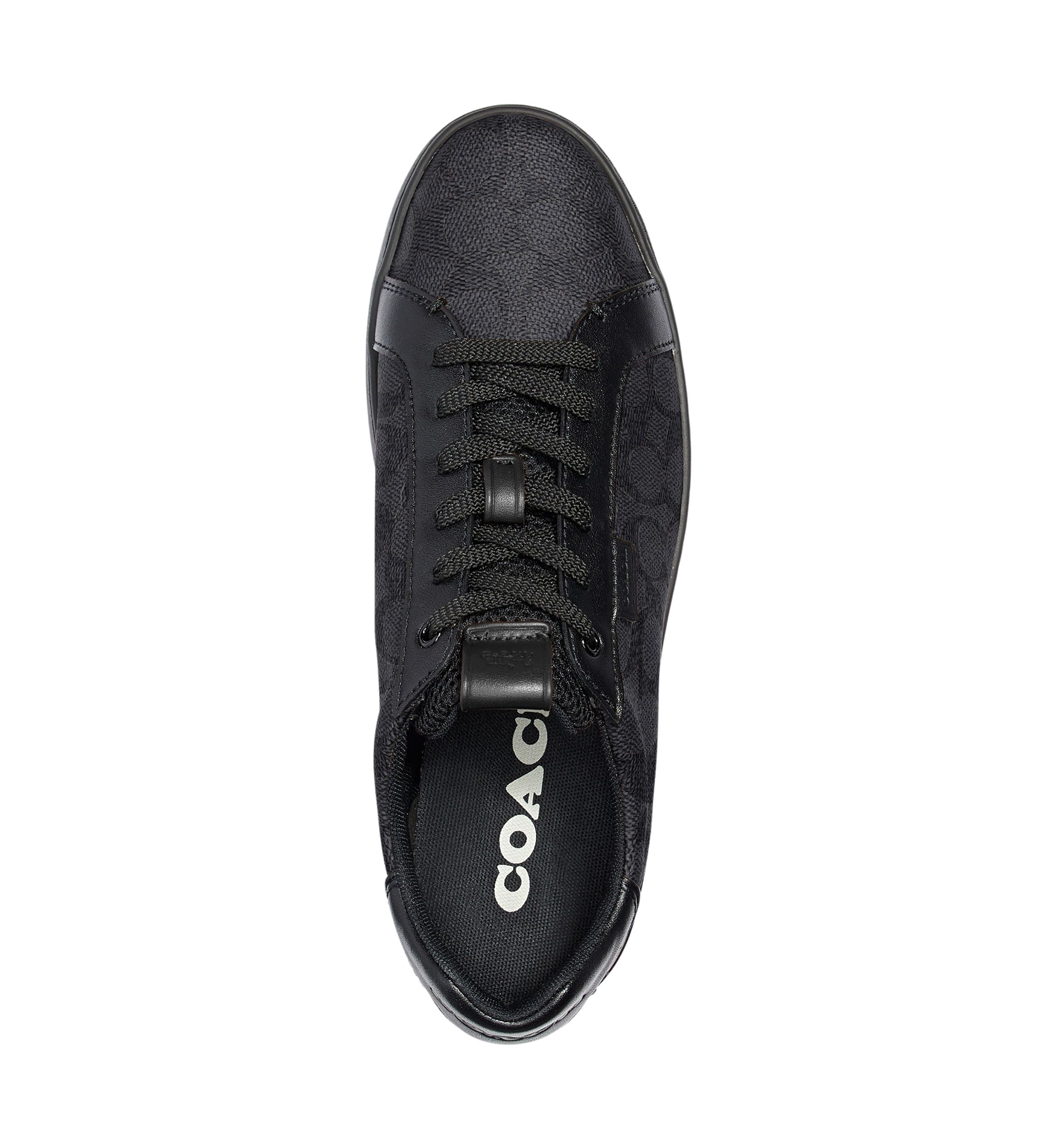   Lowline Low Top Sneaker 