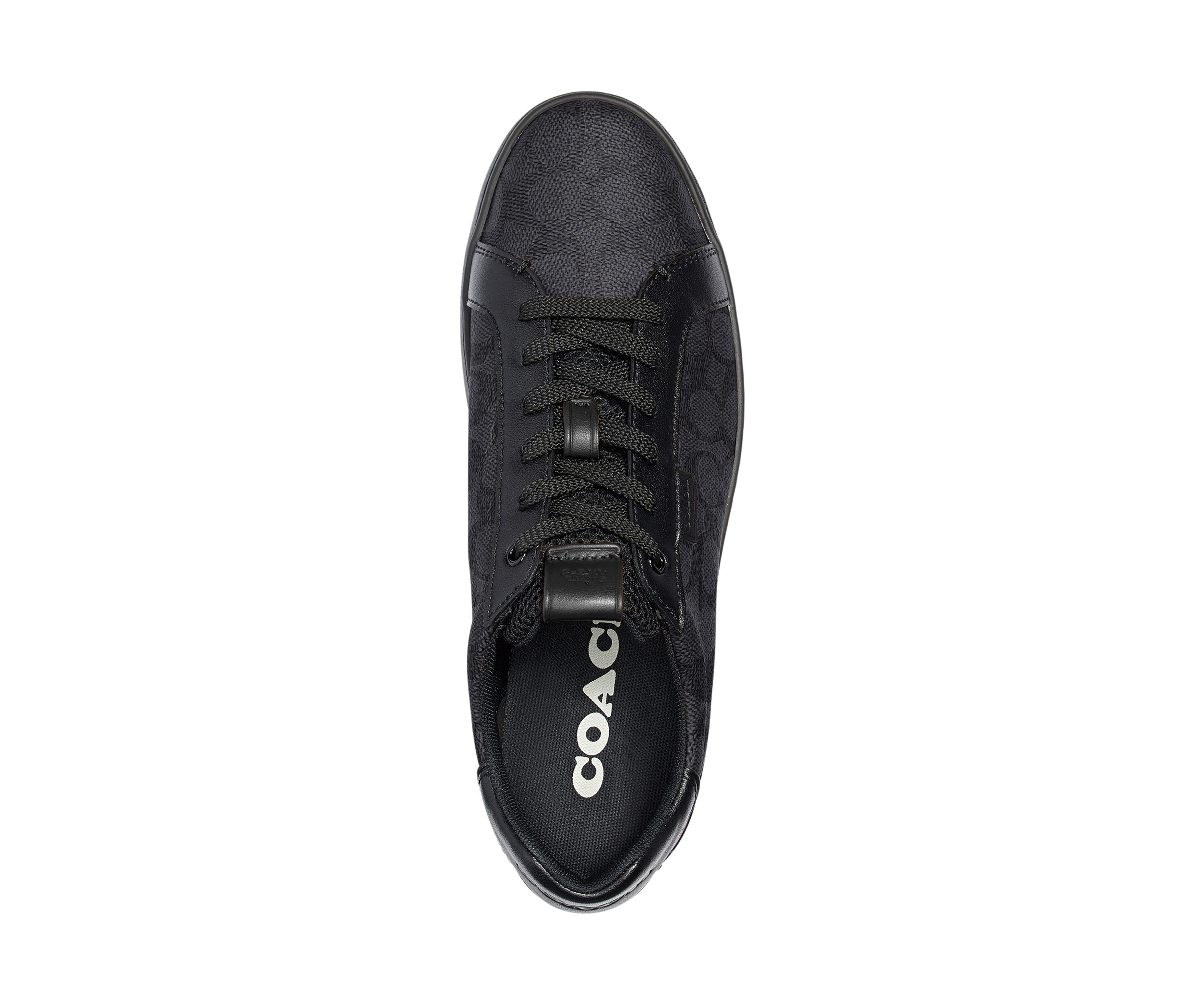   Lowline Low Top Sneaker 
