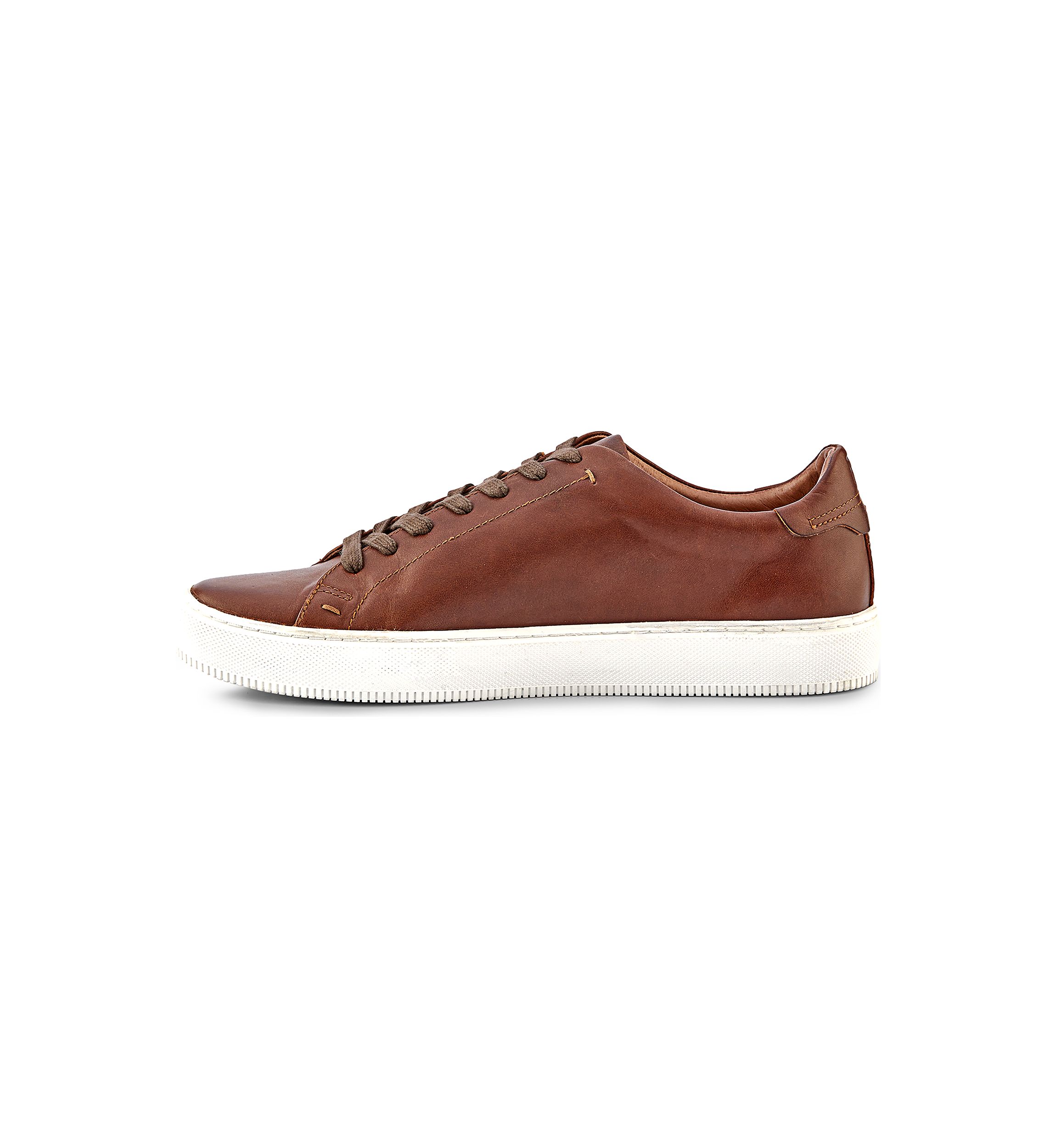 Astor Low Lace Sneakers