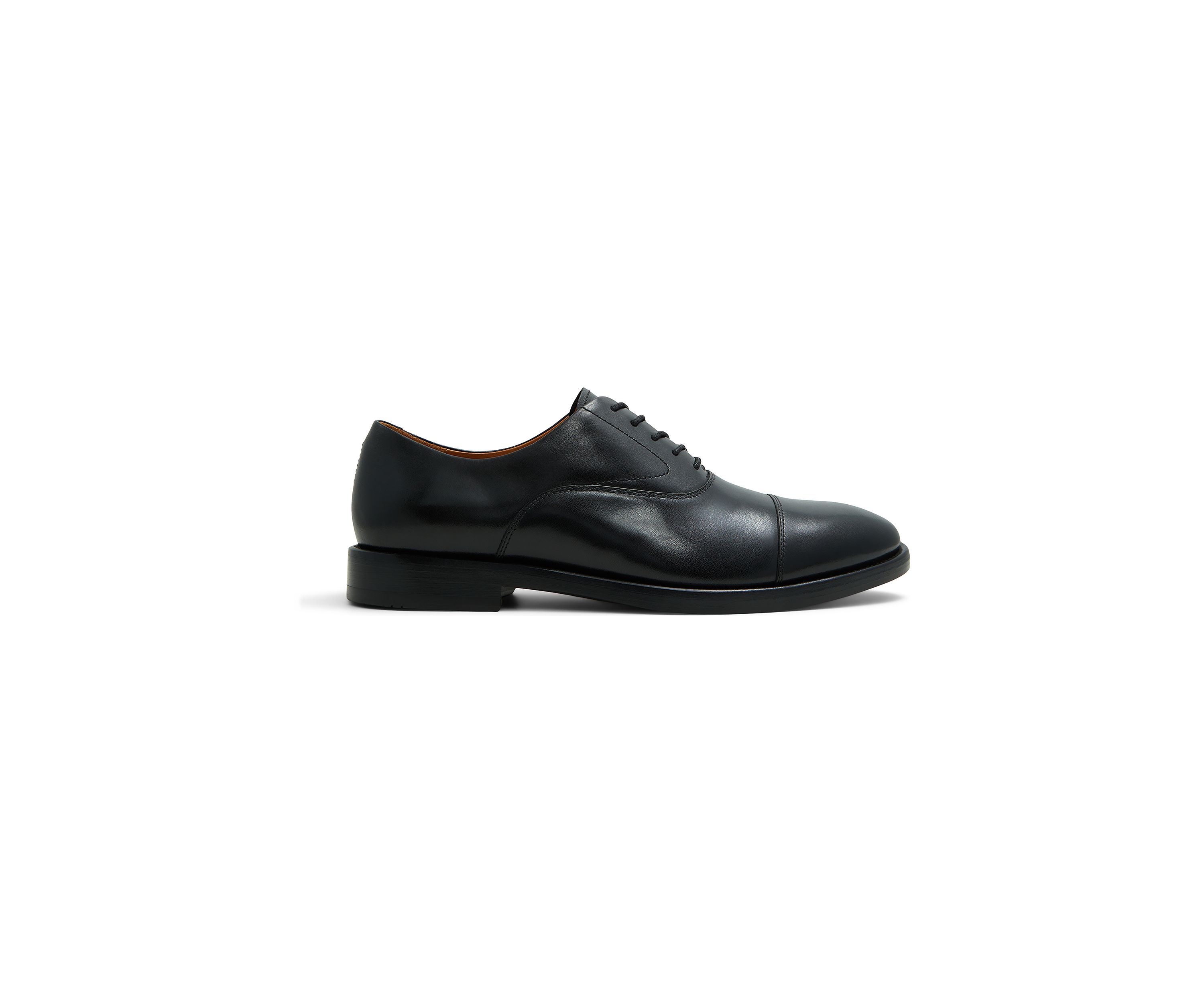 Carnegie Oxfords