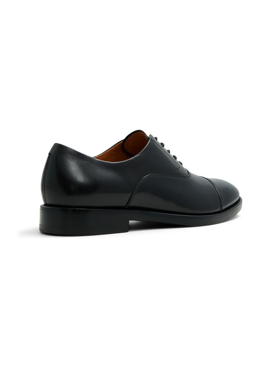 Carnegie Oxfords