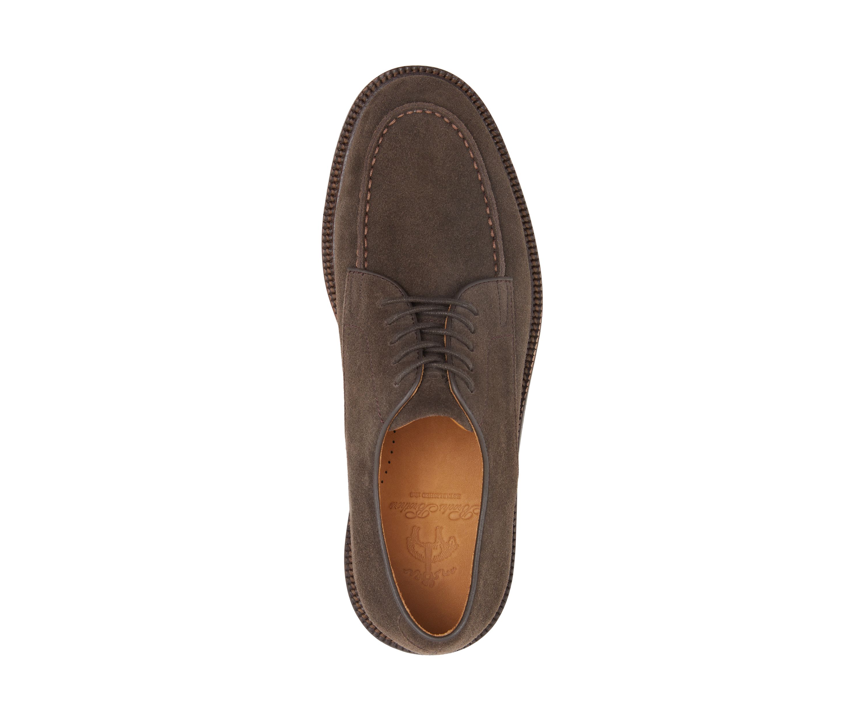 Princeton Oxfords