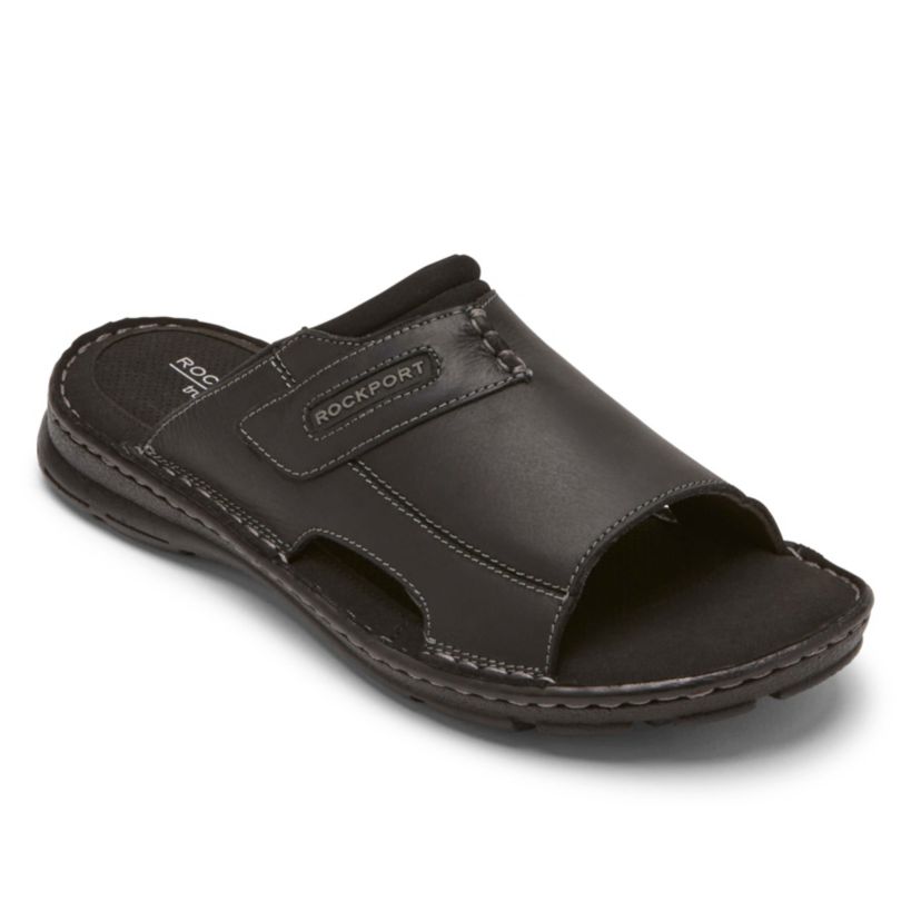 Darwyn 2 Slides