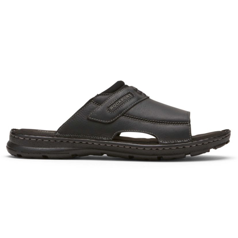 Darwyn 2 Slides