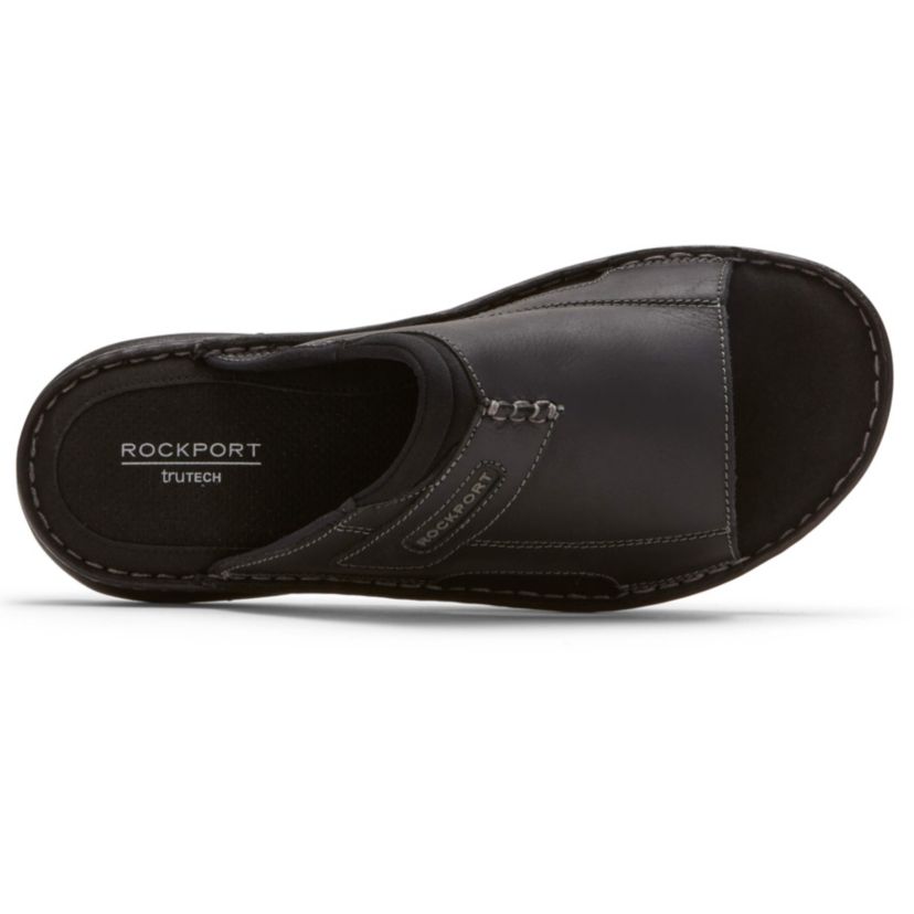 Darwyn 2 Slides