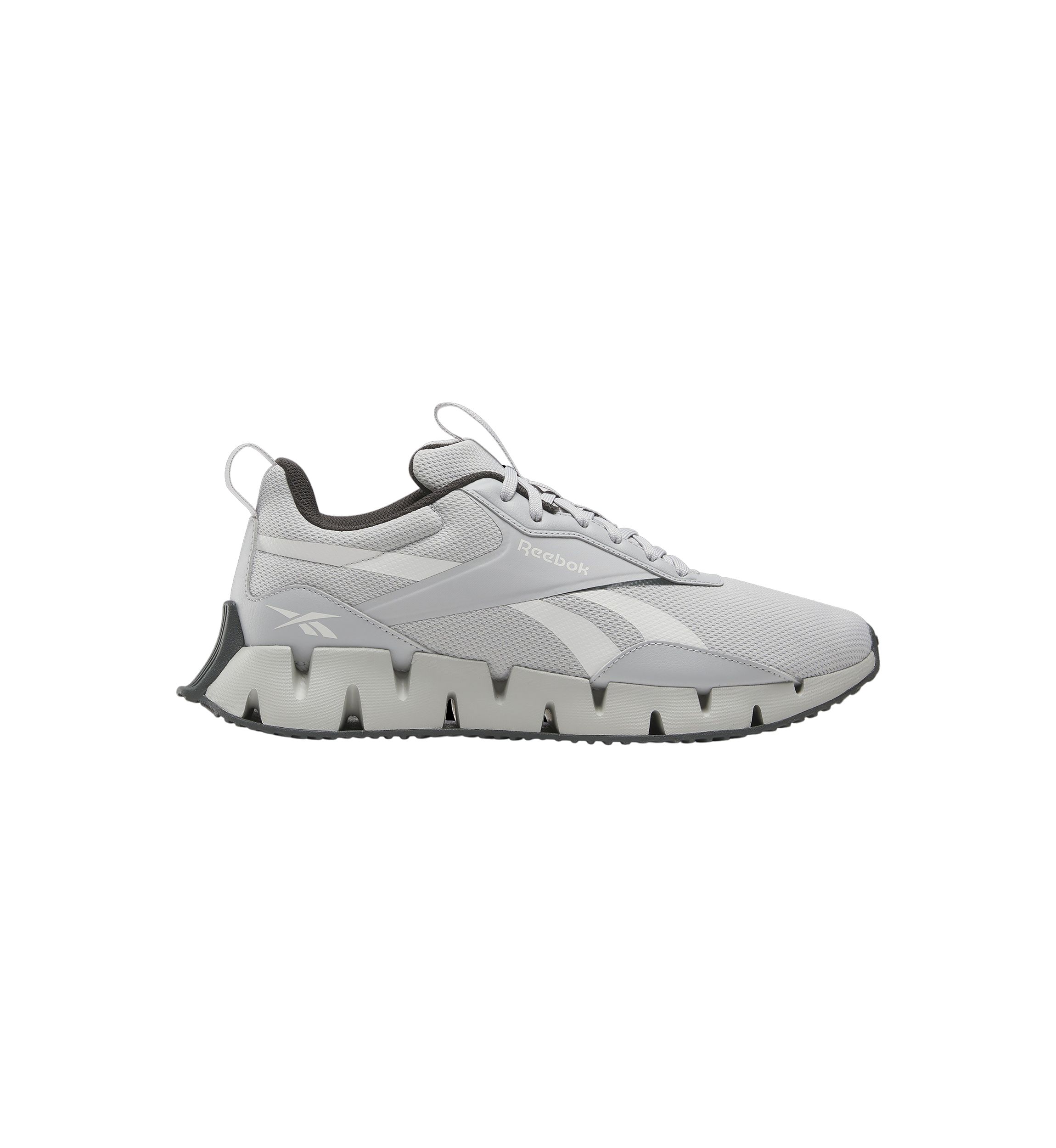 Mens Zig Dynamica Stripe Sneakers