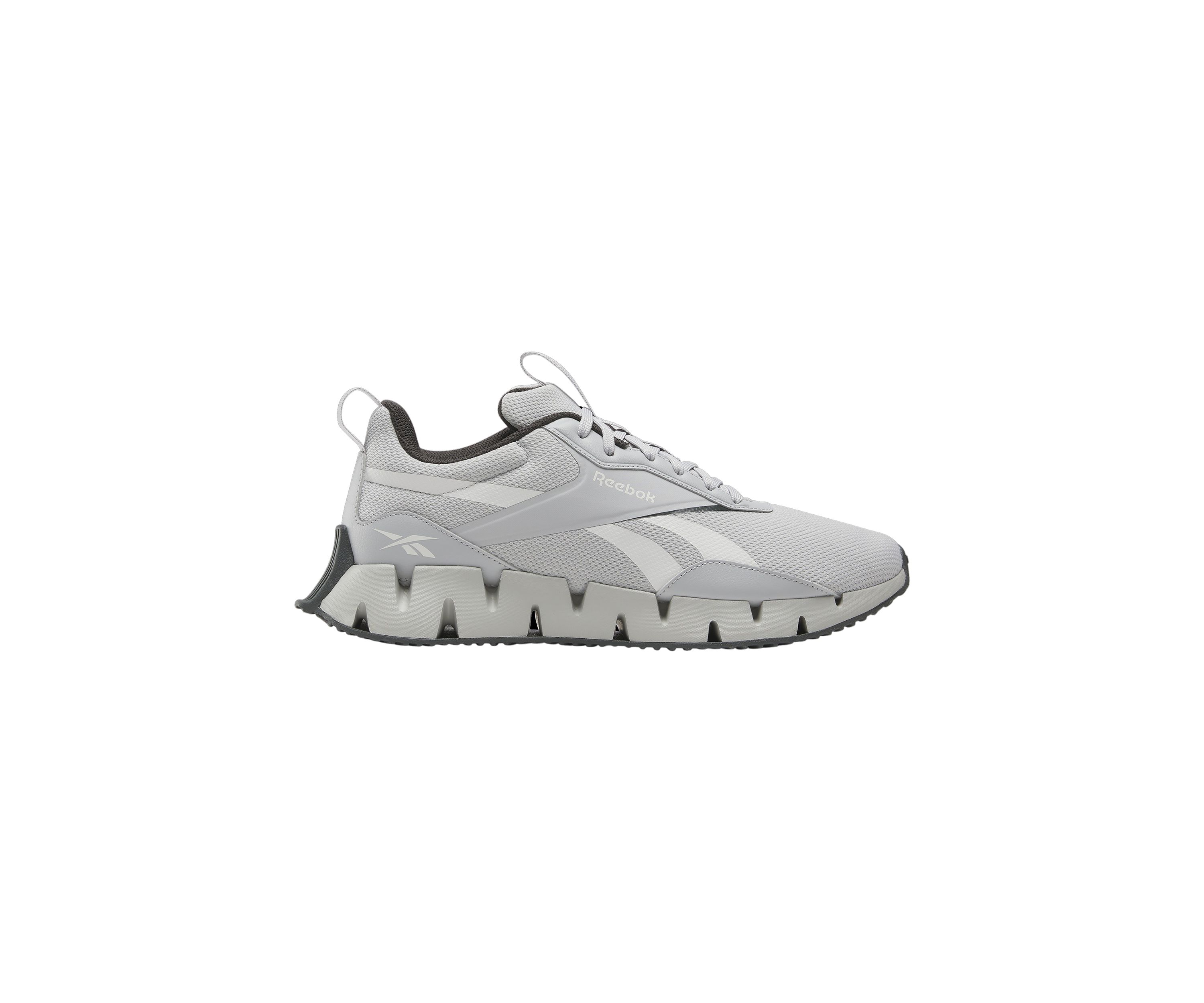 Mens Zig Dynamica Stripe Sneakers