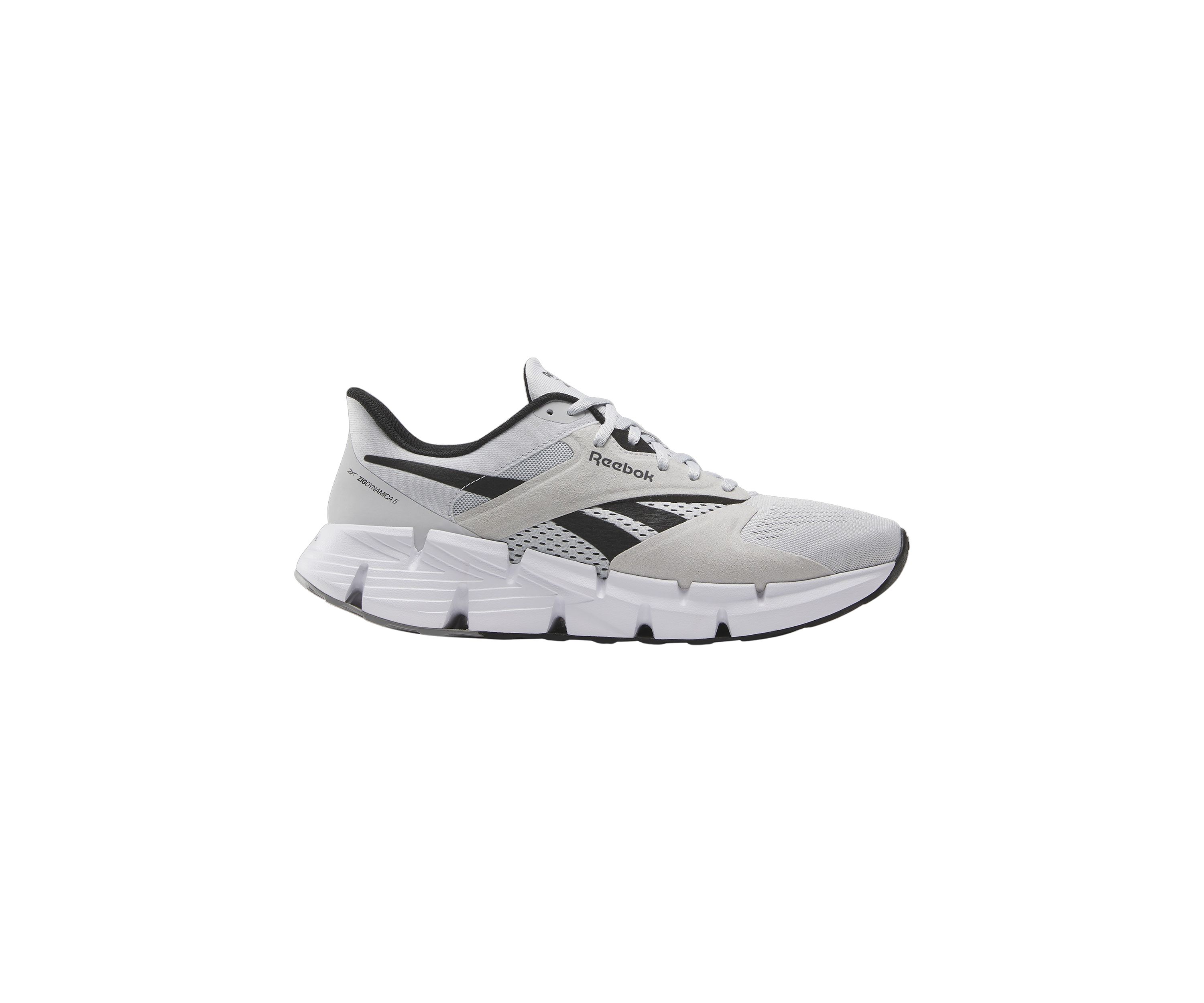 Zig Dynamica 5 Sneakers