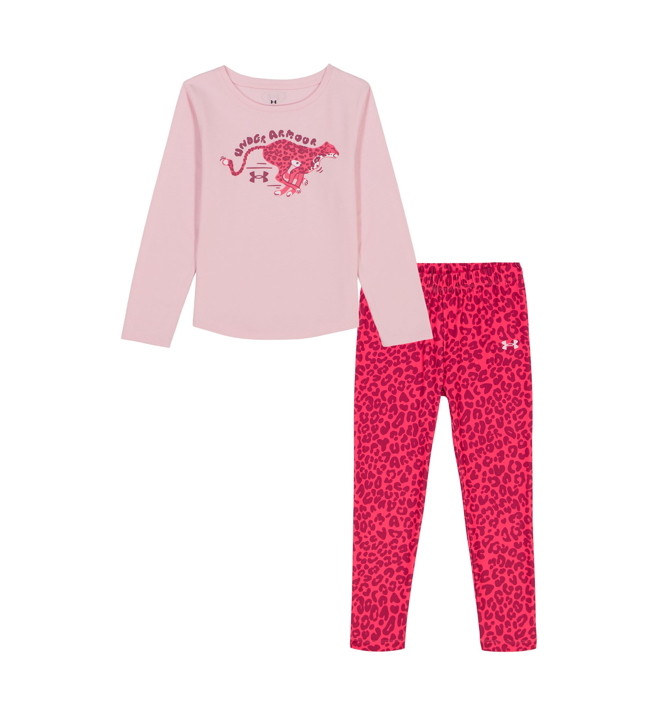 Toddlers Girls Long Sleeve Printed Leggings Set