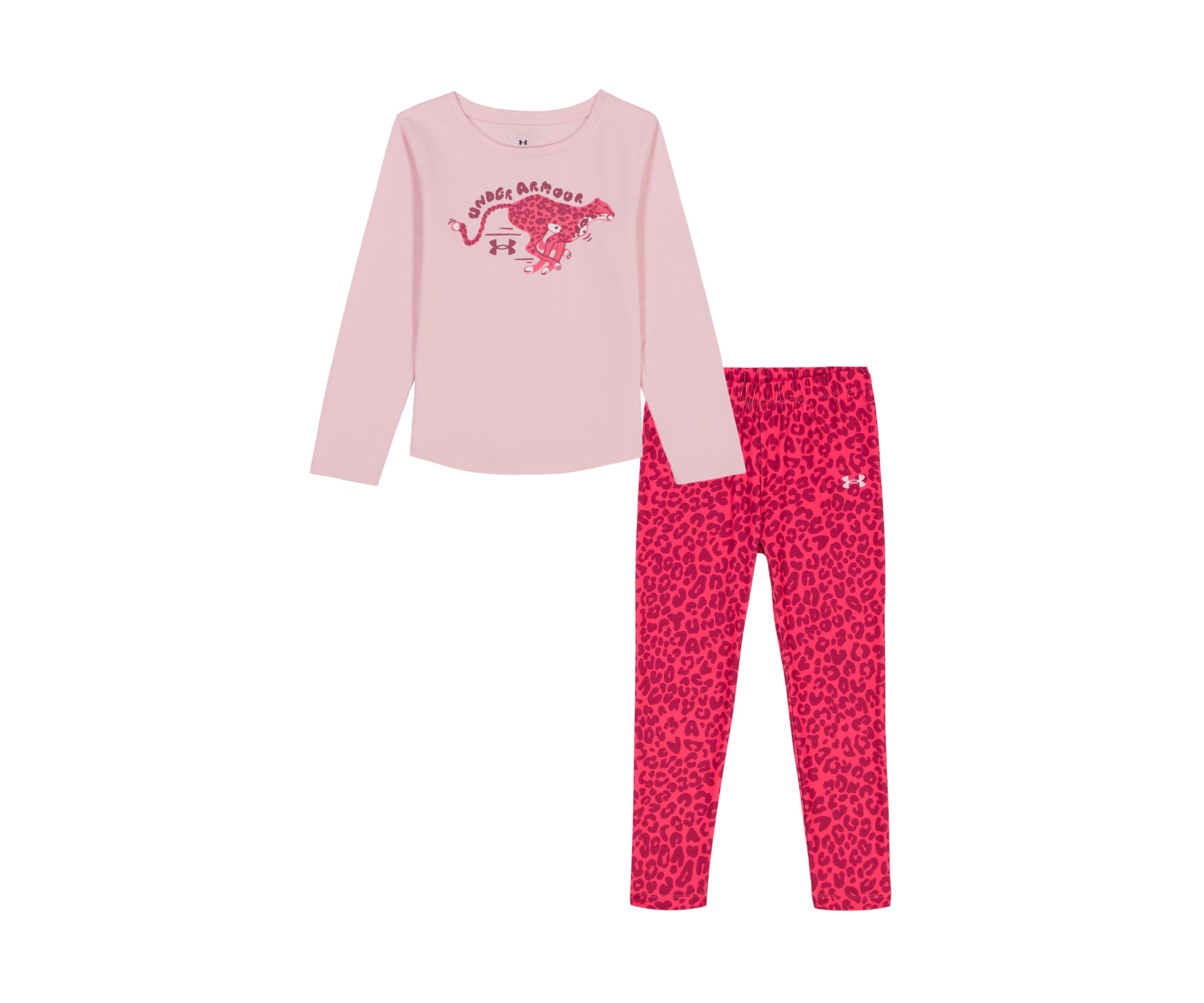 Toddlers Girls Long Sleeve Printed Leggings Set