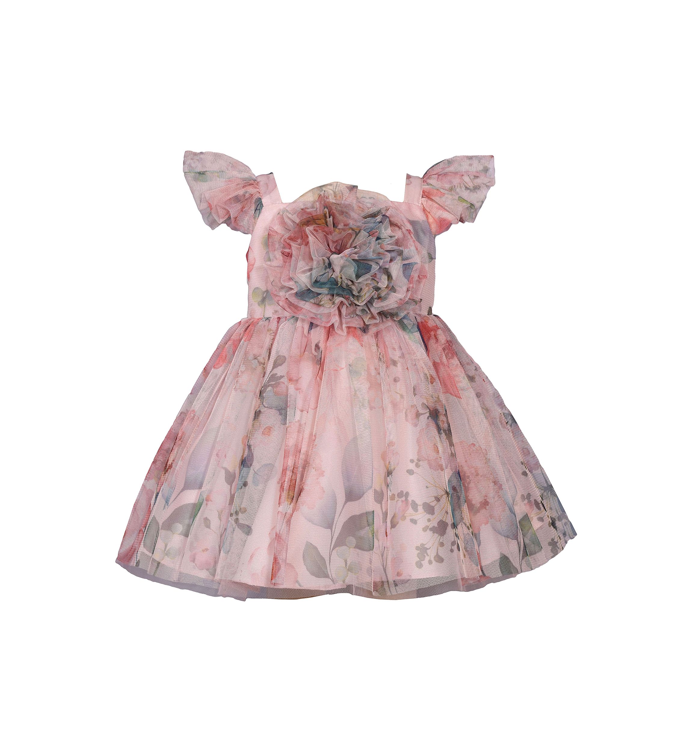 Toddler Girls Floral Printed Mesh Dress with Ruched Bodice