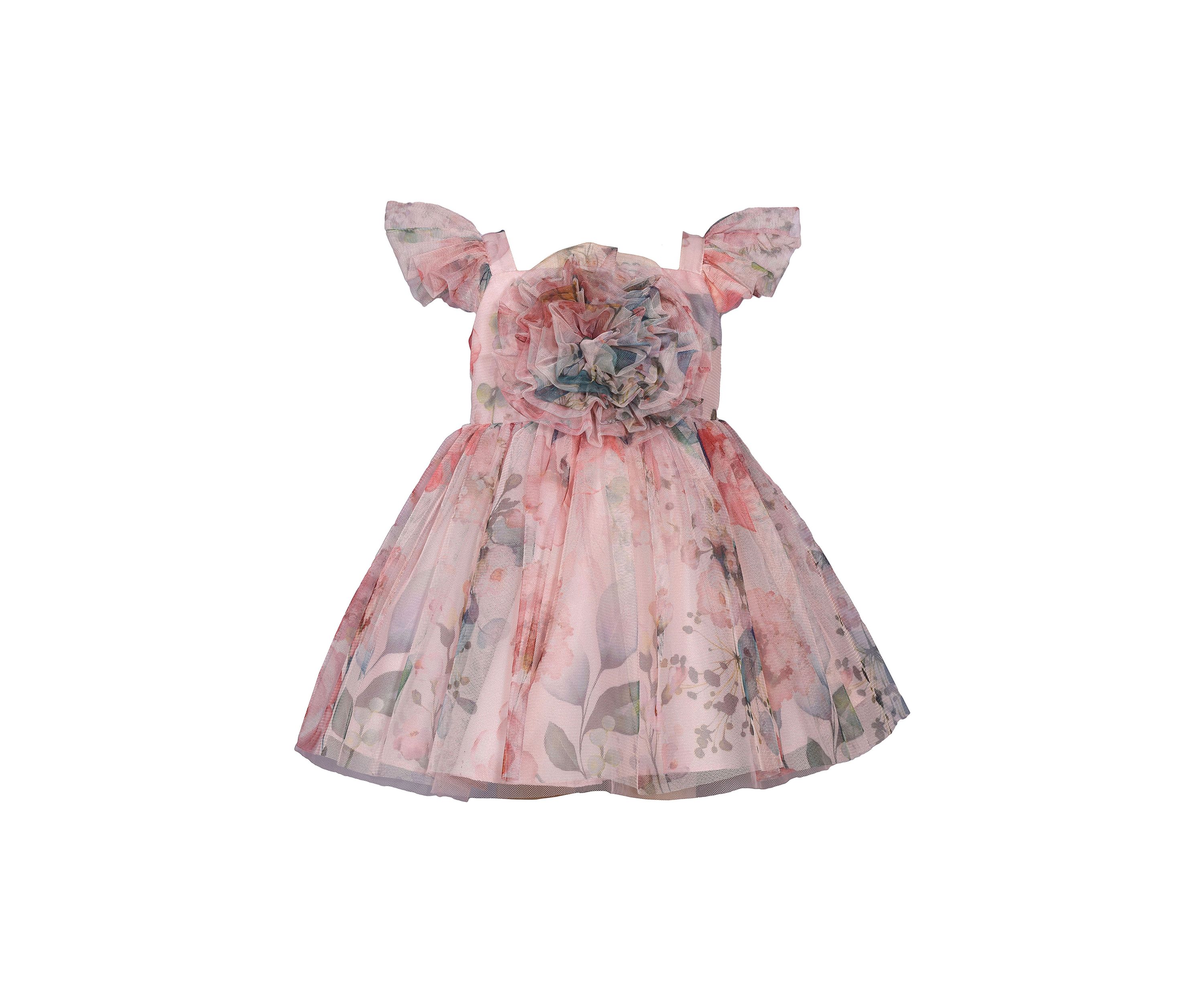 Toddler Girls Floral Printed Mesh Dress with Ruched Bodice
