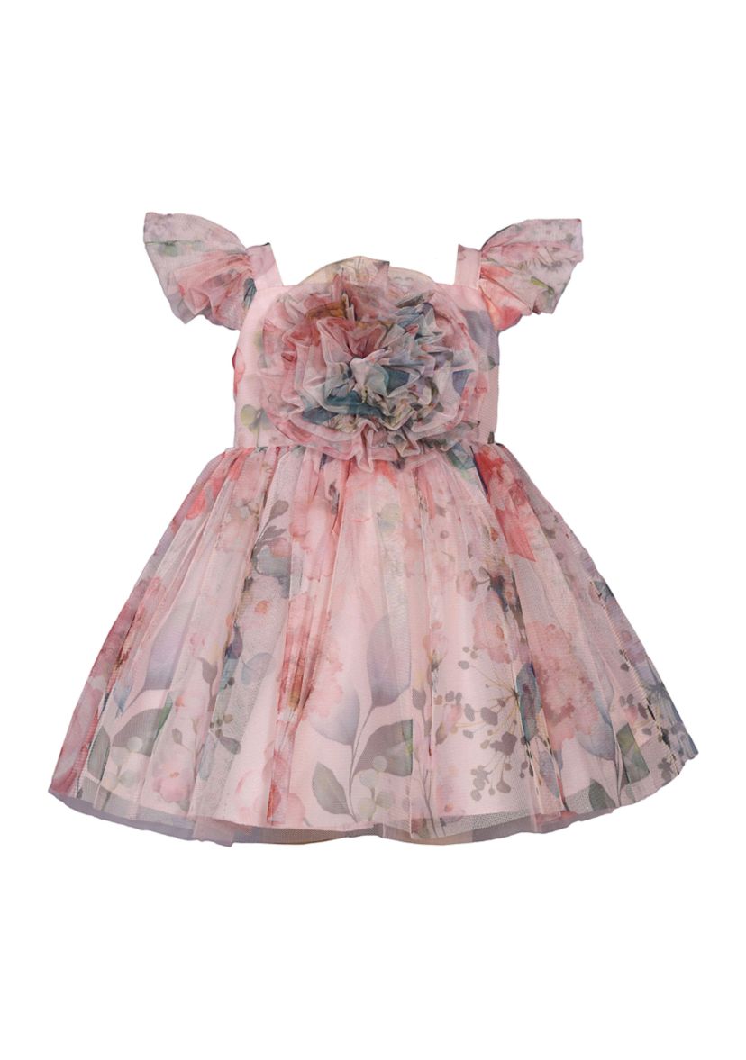 Toddler Girls Floral Printed Mesh Dress with Ruched Bodice