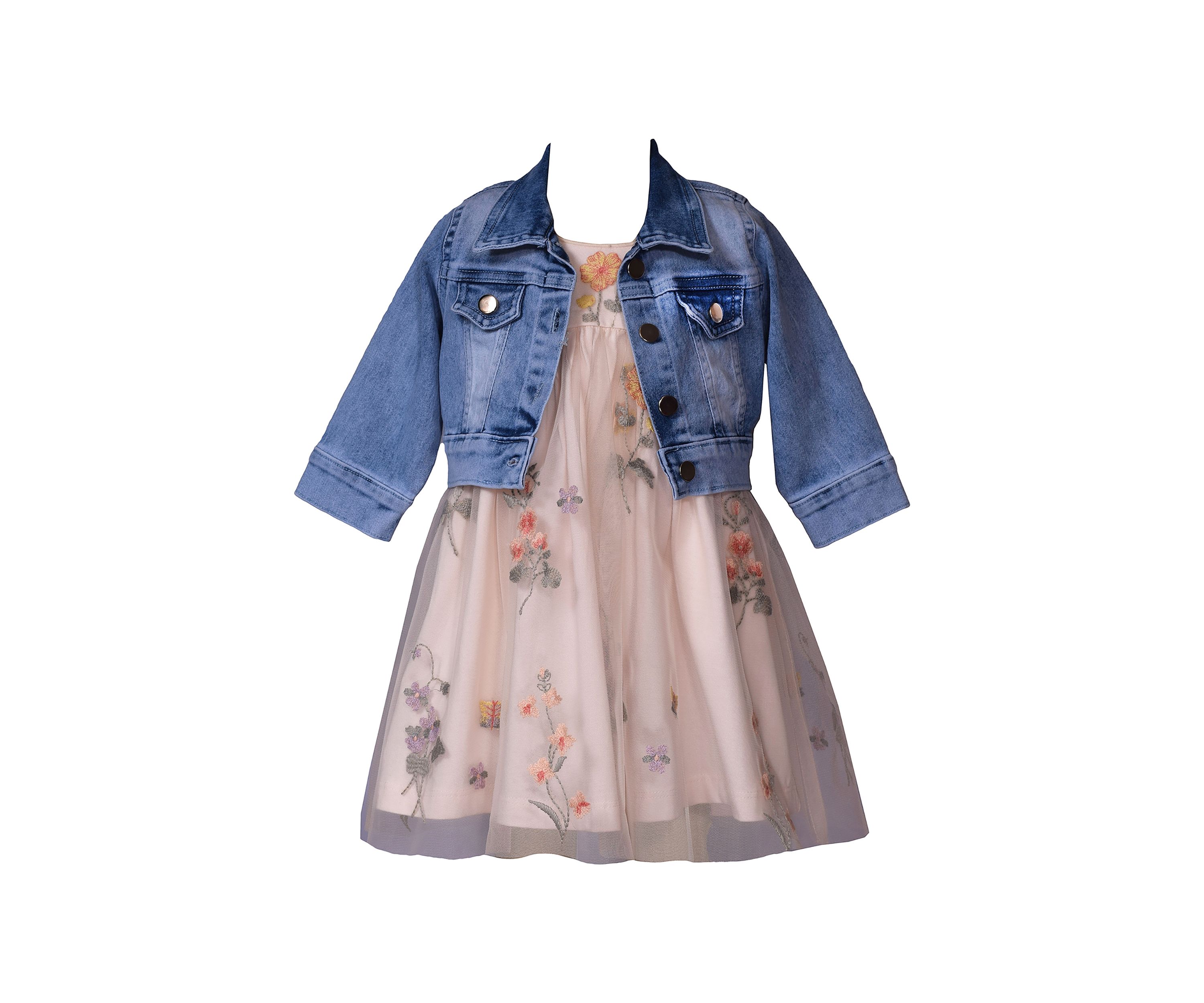 Toddler Girls Floral Embroidered Denim Jacket Dress