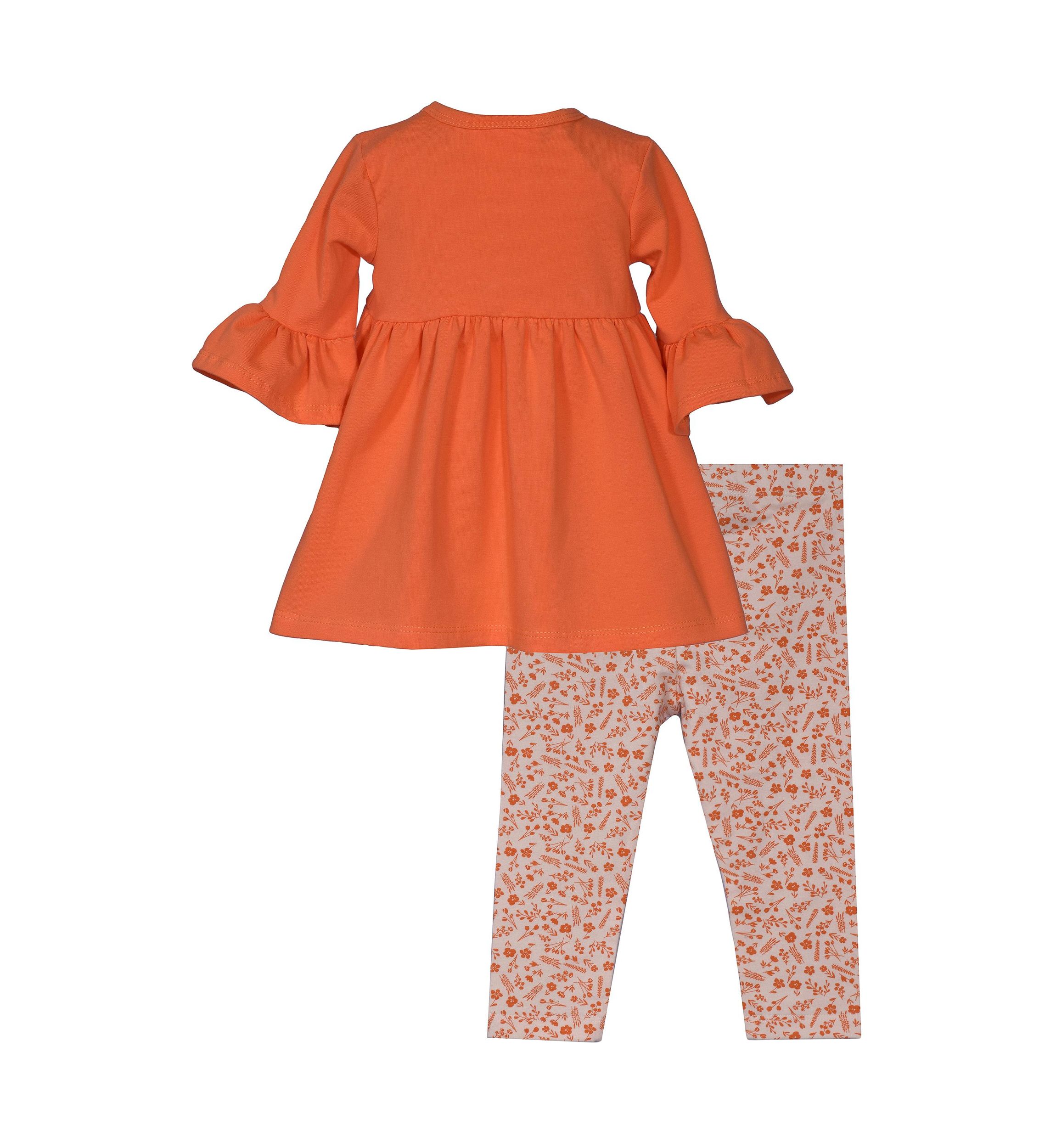Toddler Girls 3/4 Sleeve Harvest Pumpkin Appliqué Top and Printed Leggings Set