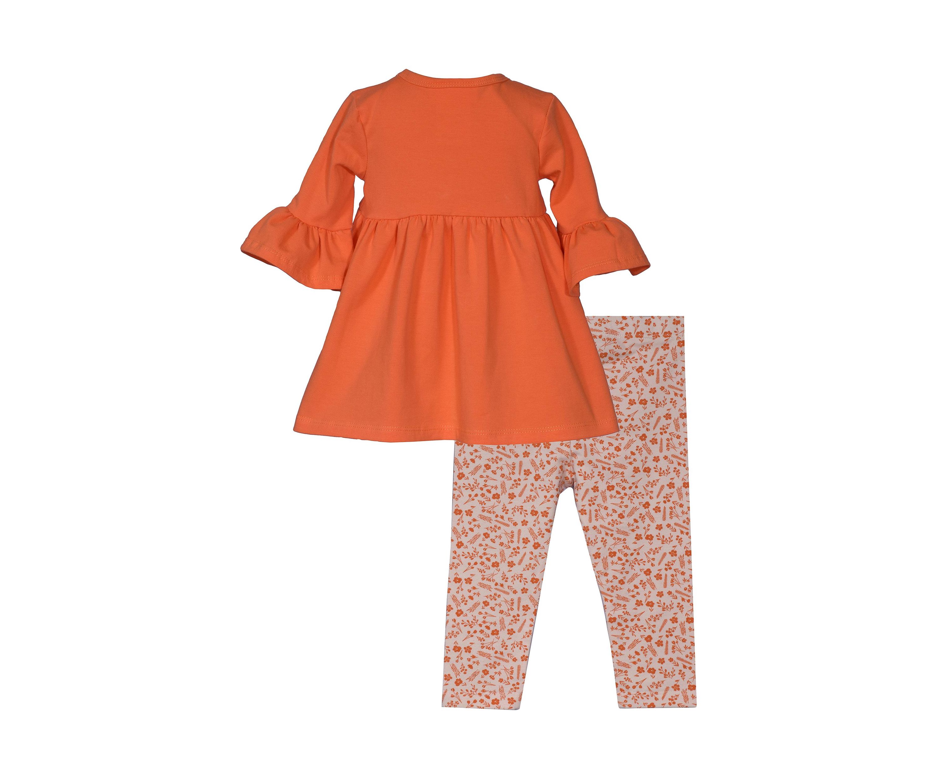 Toddler Girls 3/4 Sleeve Harvest Pumpkin Appliqué Top and Printed Leggings Set