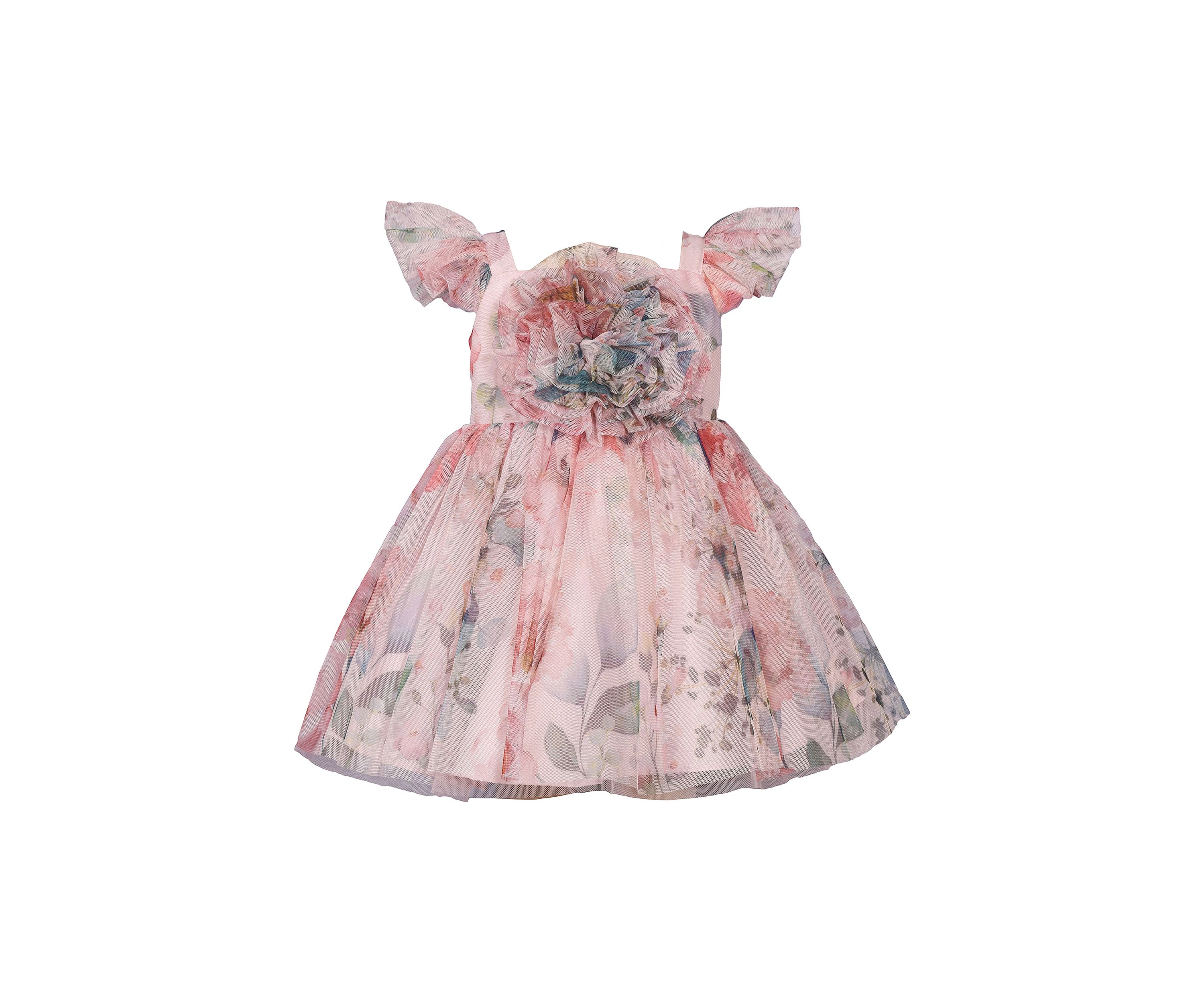 Baby Girls Floral Mesh Dress with Ruched Bodice