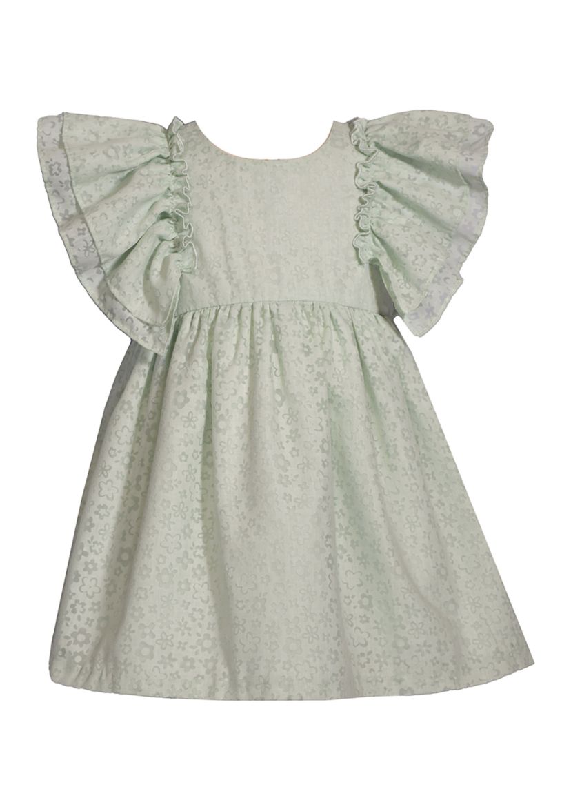 Toddler Girls Burnout Flutter Sleeve Dress
