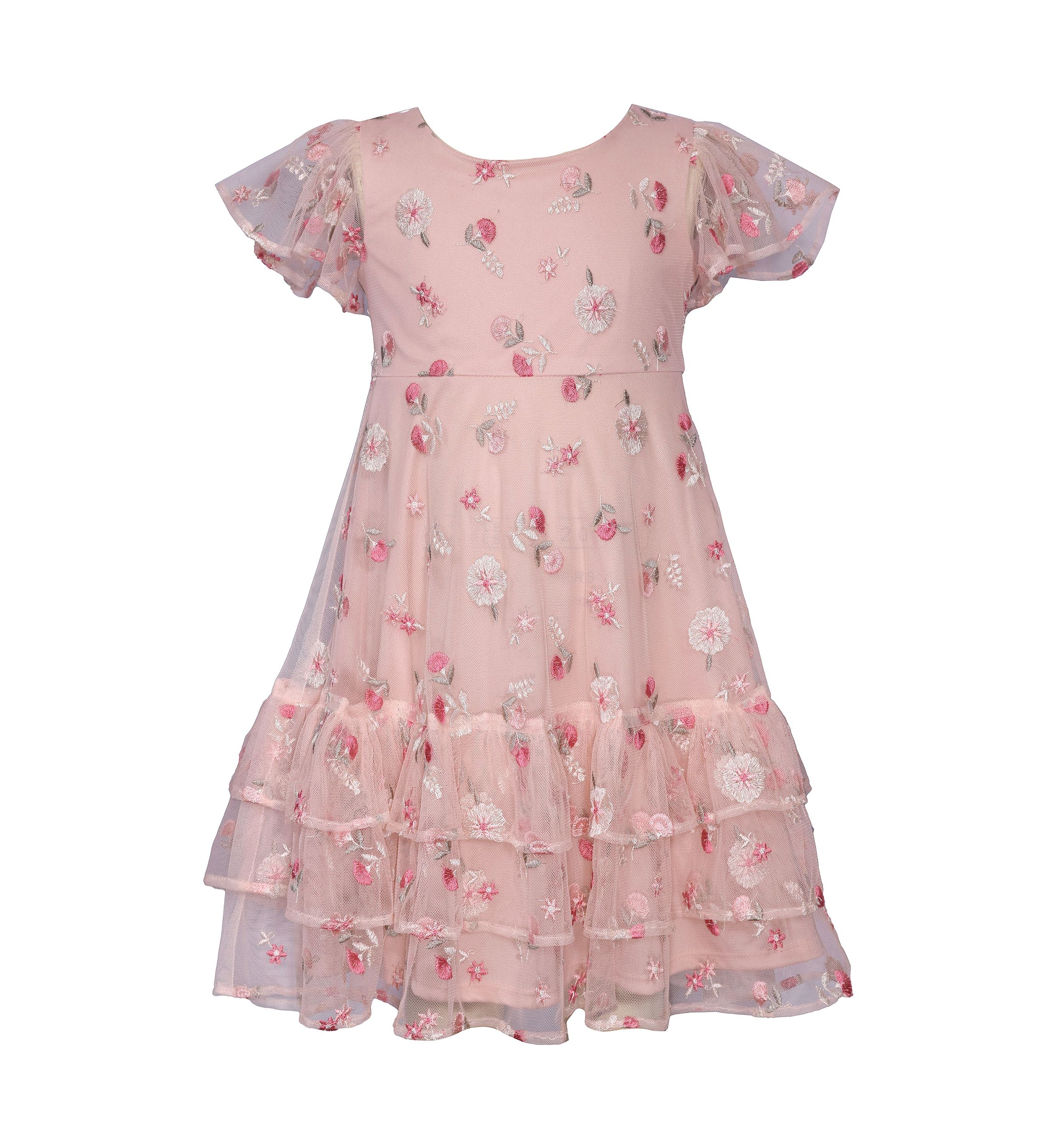Toddler Girls Embroidered Mesh Ruffle Dress