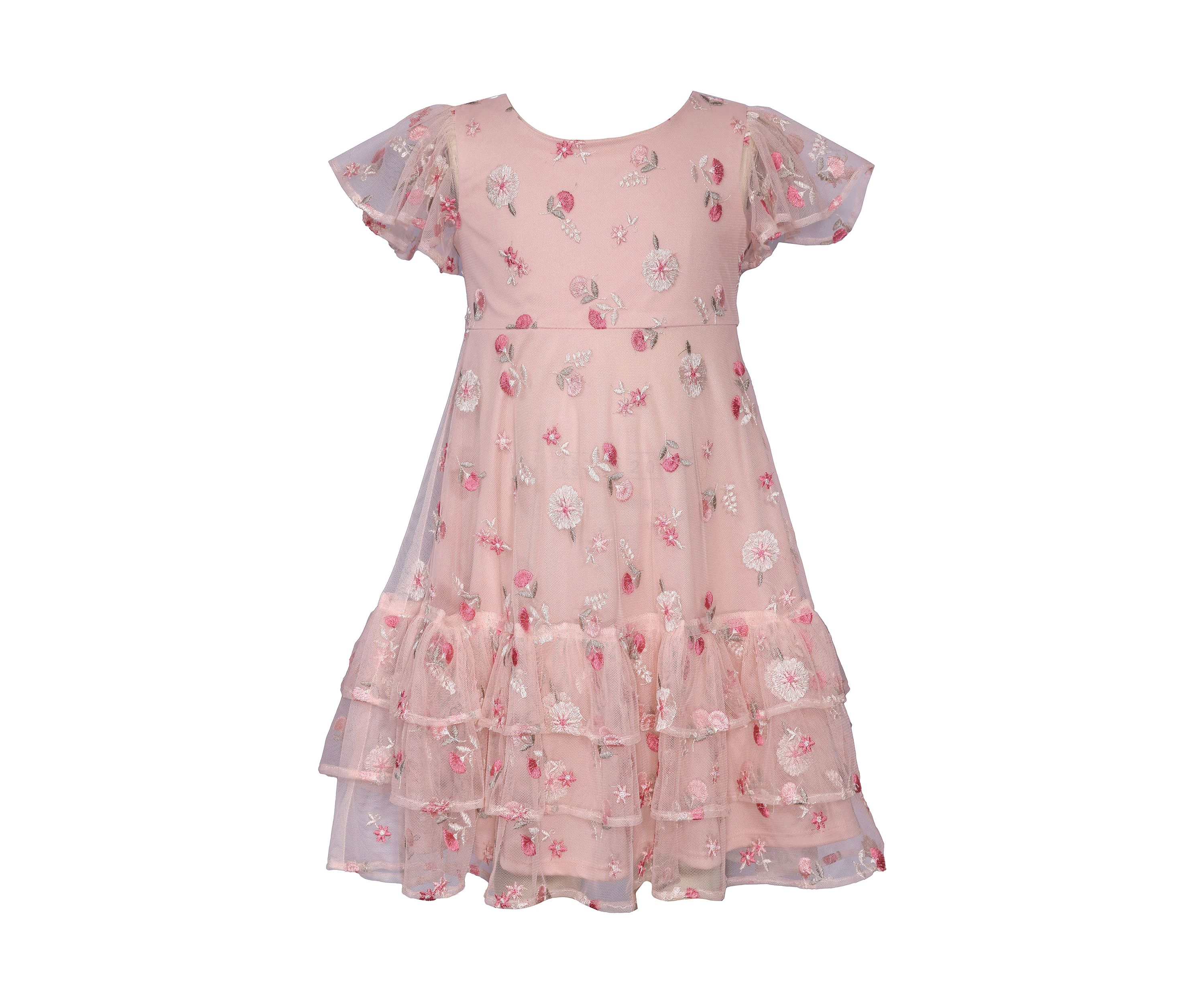 Toddler Girls Embroidered Mesh Ruffle Dress
